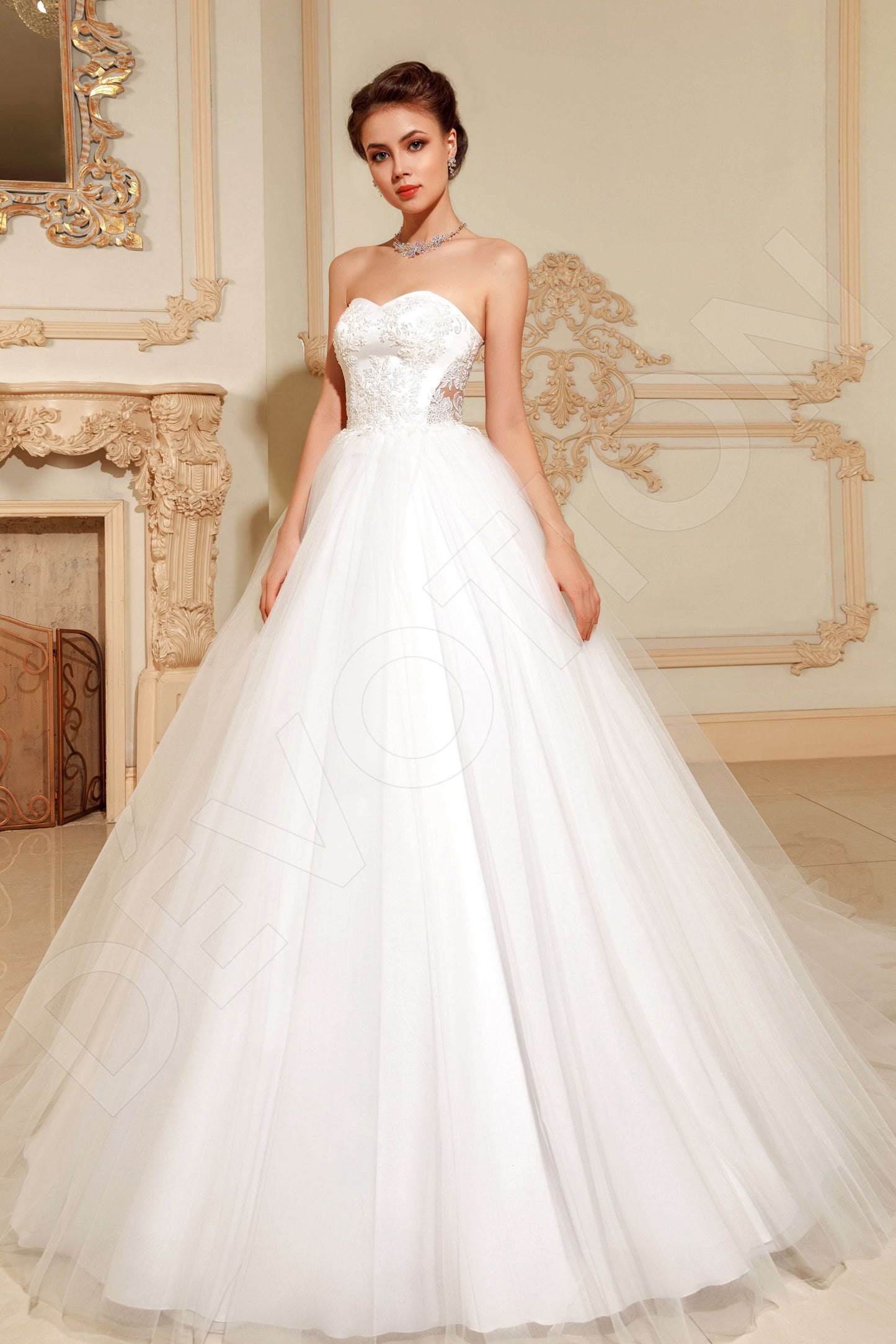 Nitana Open back Princess/Ball Gown Sleeveless Wedding Dress Front