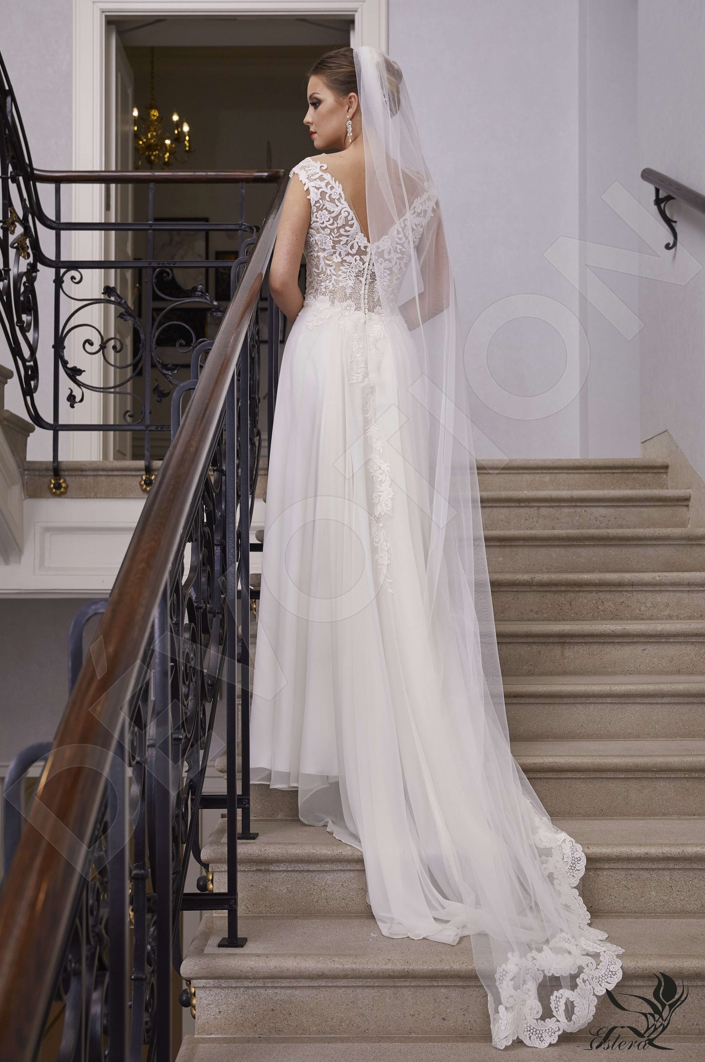 Anan Full back A-line Short/ Cap sleeve Wedding Dress Back