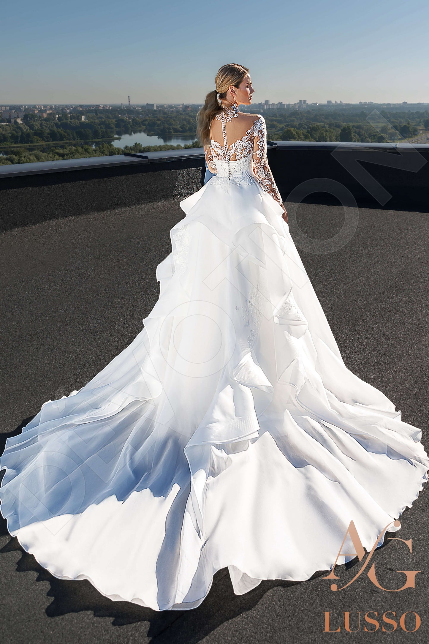 Luziana Full back Princess/Ball Gown Long sleeve Wedding Dress Back