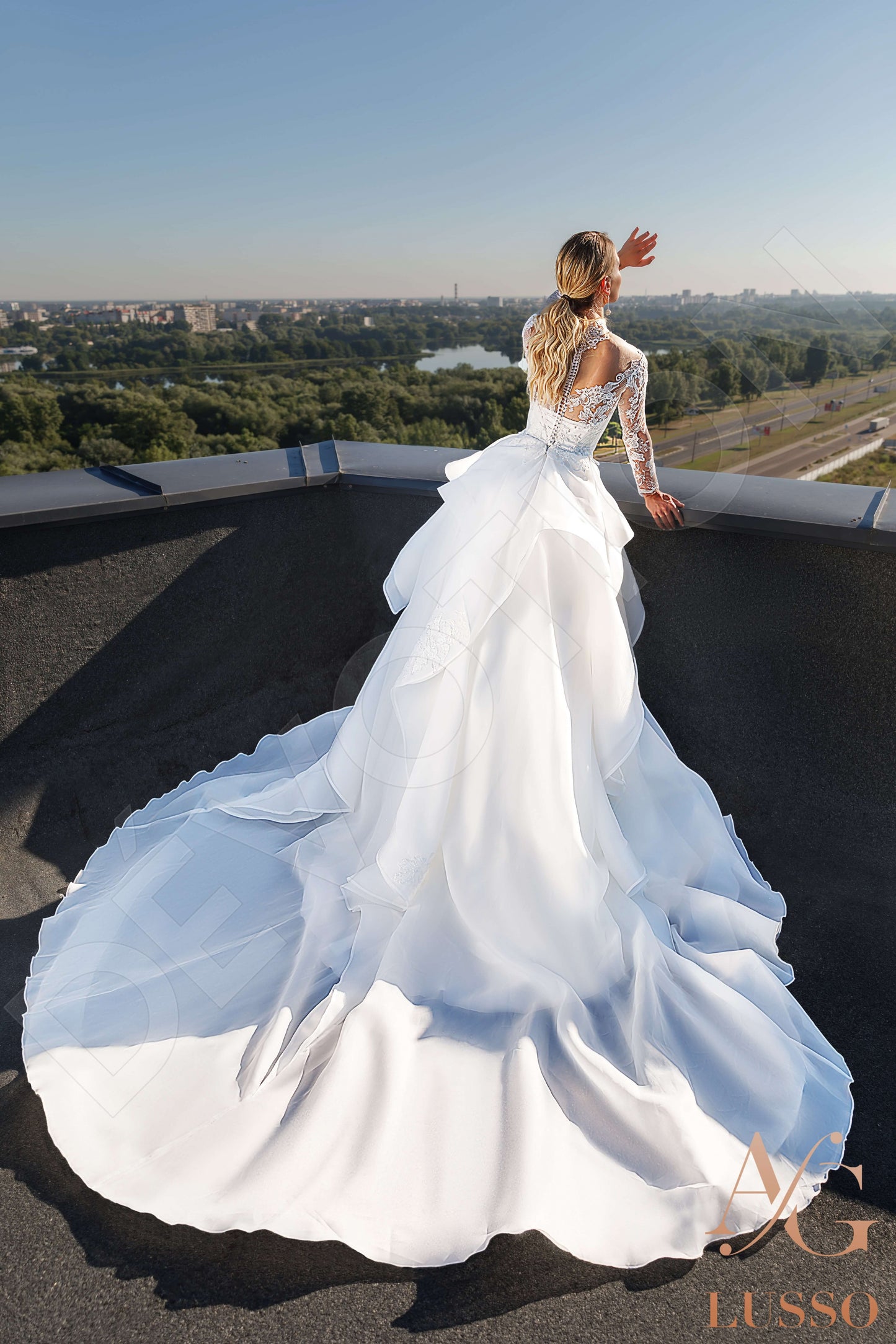 Luziana Full back Princess/Ball Gown Long sleeve Wedding Dress 4