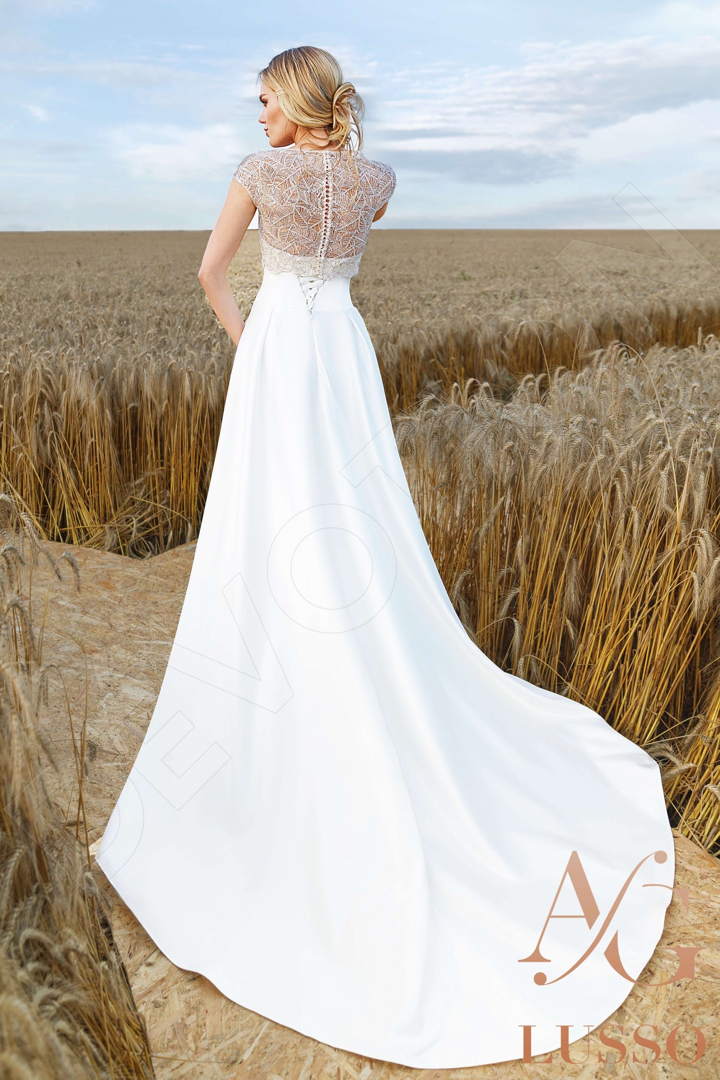 Emani Full back A-line Short/ Cap sleeve Wedding Dress Back