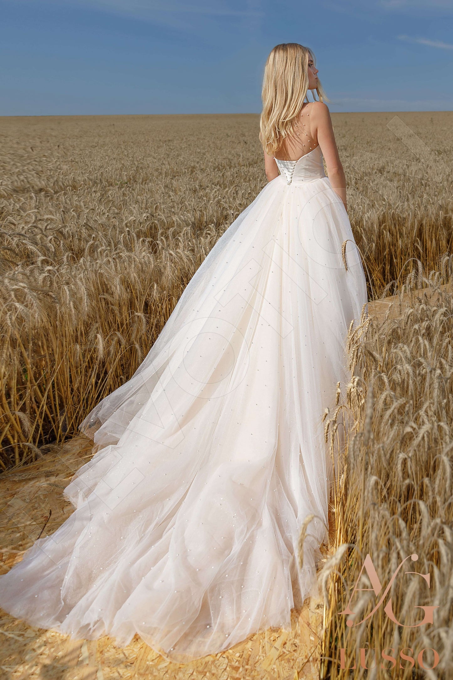 Brenditta Illusion back A-line Sleeveless Wedding Dress Back
