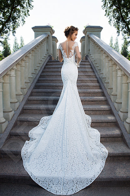 Frances Trumpet/Mermaid Long sleeve Full back Wedding Dress Back