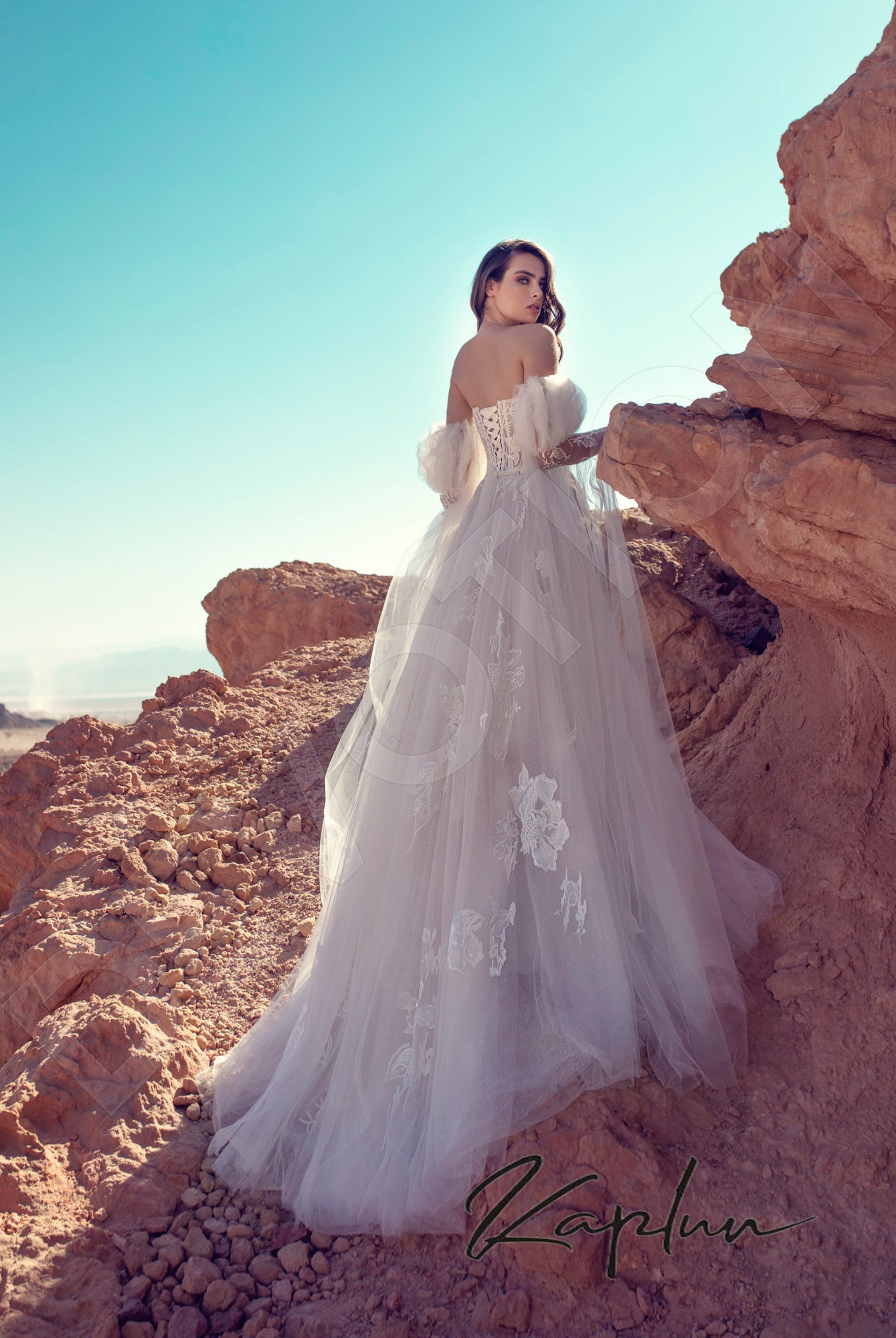 Kaya Open back A-line Detachable sleeves Wedding Dress Back
