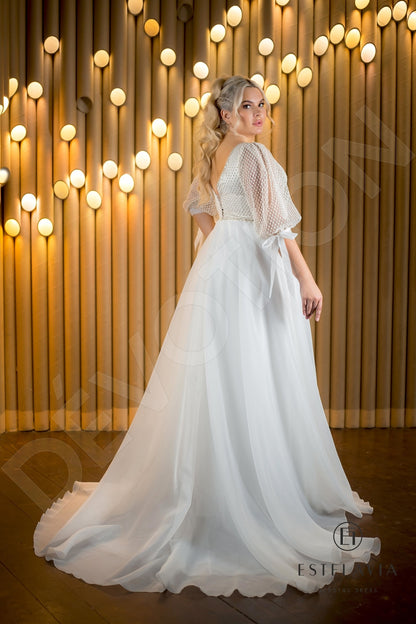 Denisa Open back A-line Half sleeve Wedding Dress Back