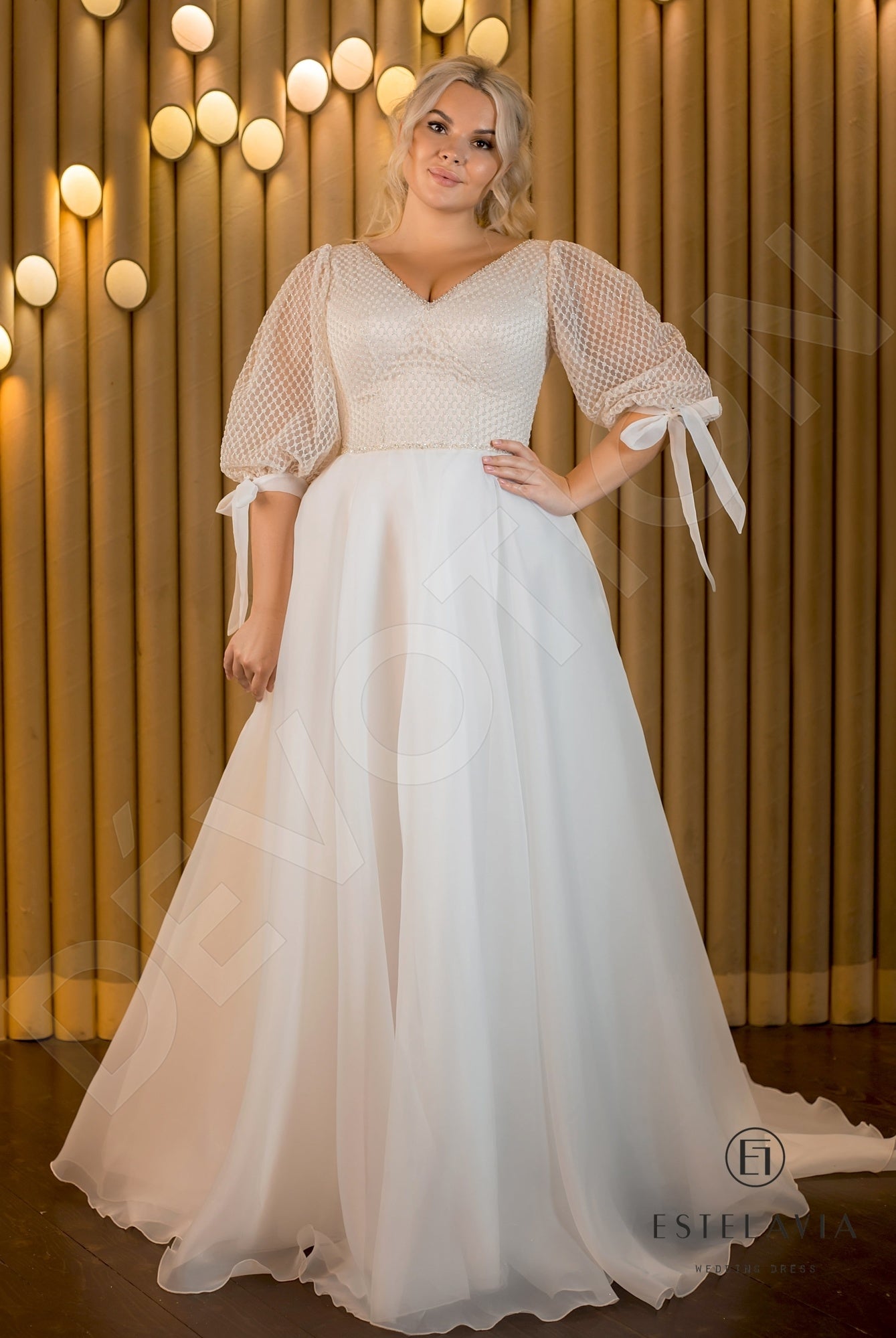 Denisa Open back A-line Half sleeve Wedding Dress Front