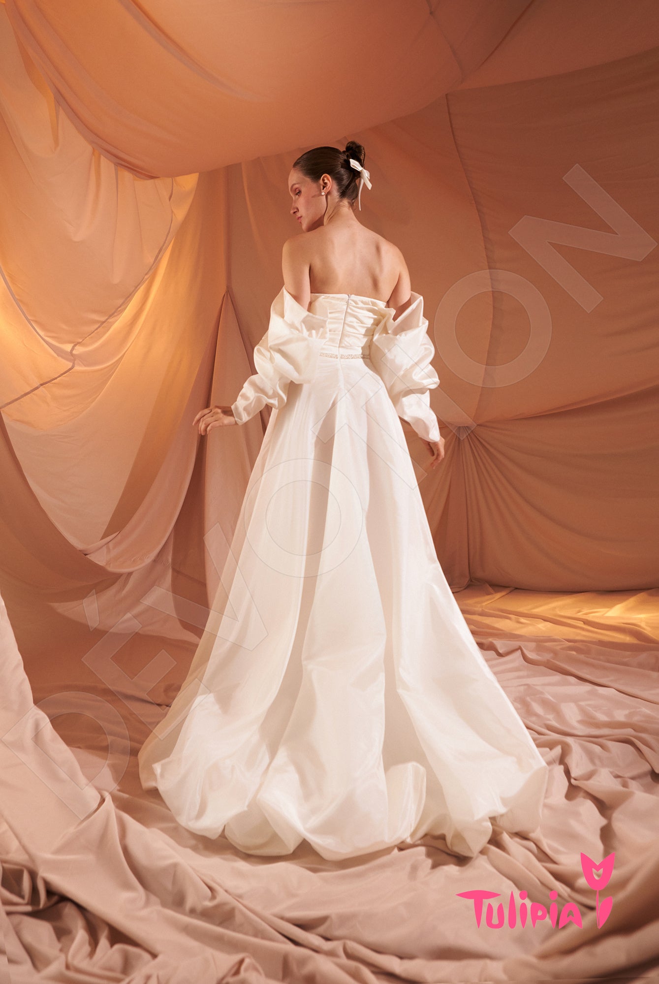 Alda Open back A-line Long sleeve Wedding Dress Back