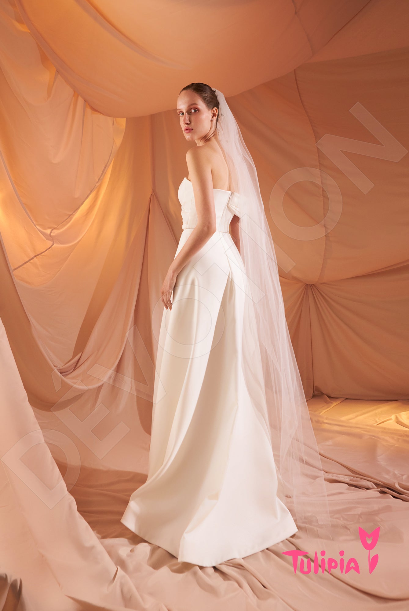 Domenika Open back A-line Strapless Wedding Dress Back