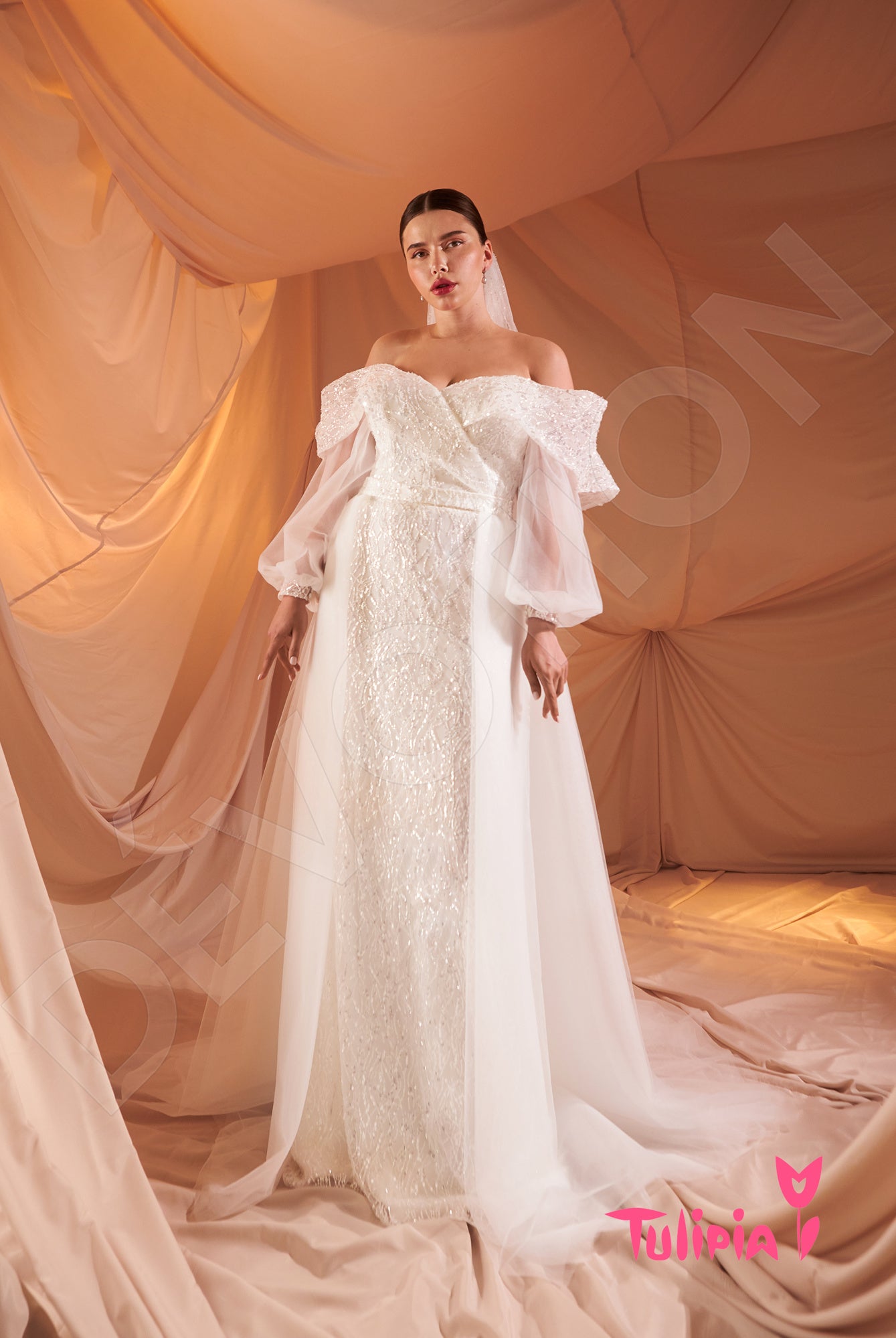 Ileriya Open back A-line Long sleeve Wedding Dress 5