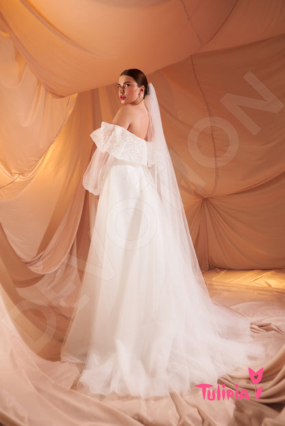 Ileriya Open back A-line Long sleeve Wedding Dress Back