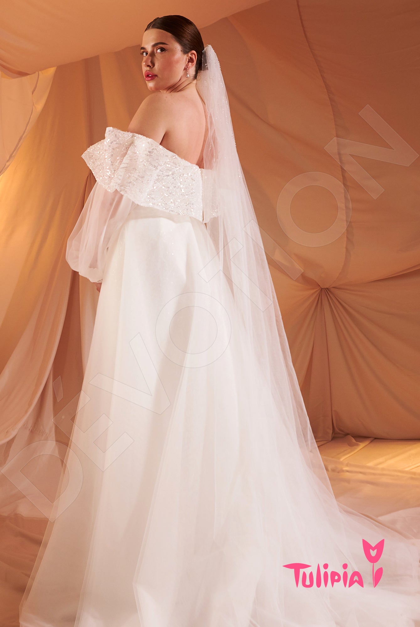 Ileriya Open back A-line Long sleeve Wedding Dress 6
