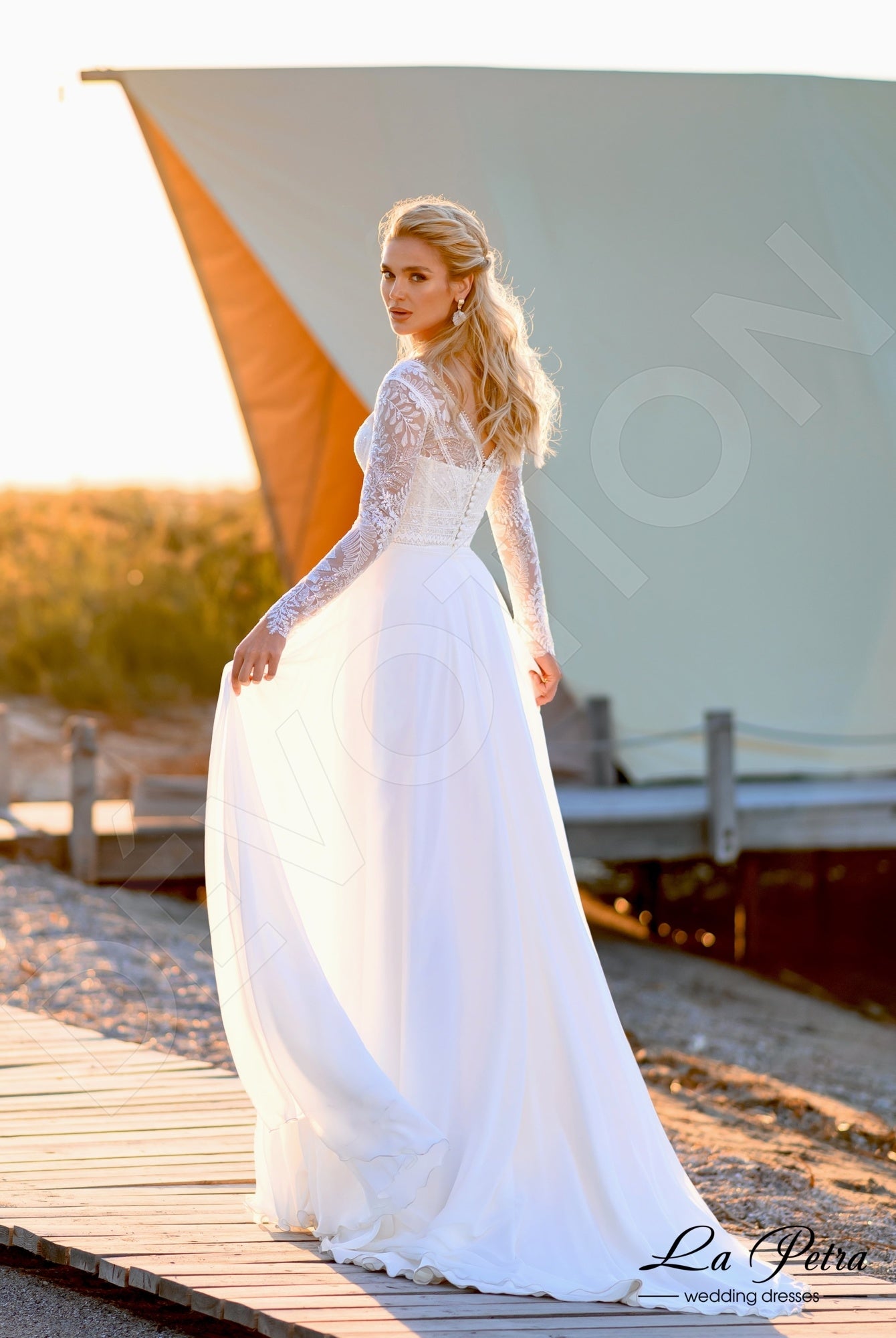 Anelisa Open back A-line Long sleeve Wedding Dress Back