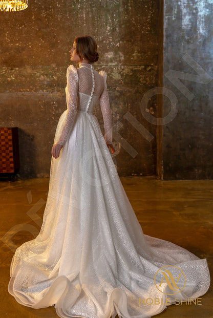 Agadrina Full back A-line Long sleeve Wedding Dress Back