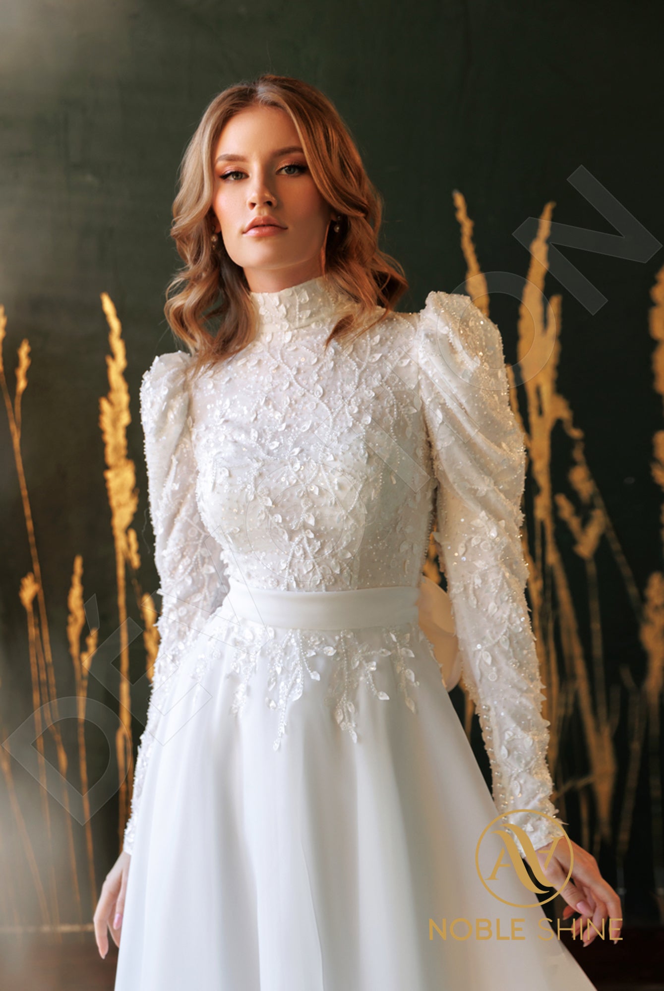 Sabrann Full back A-line Long sleeve Wedding Dress 2