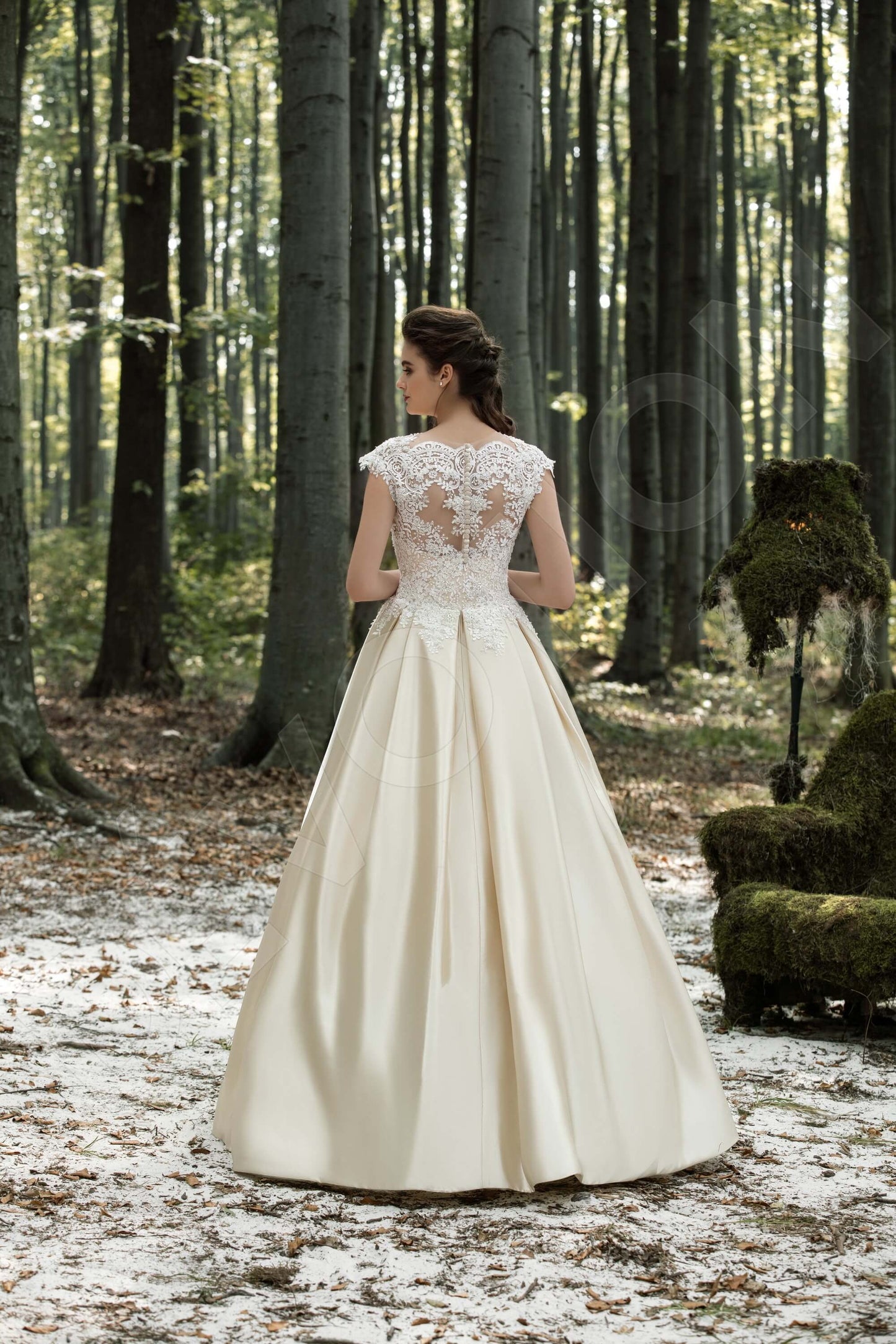 Caia Illusion back A-line Short/ Cap sleeve Wedding Dress Back