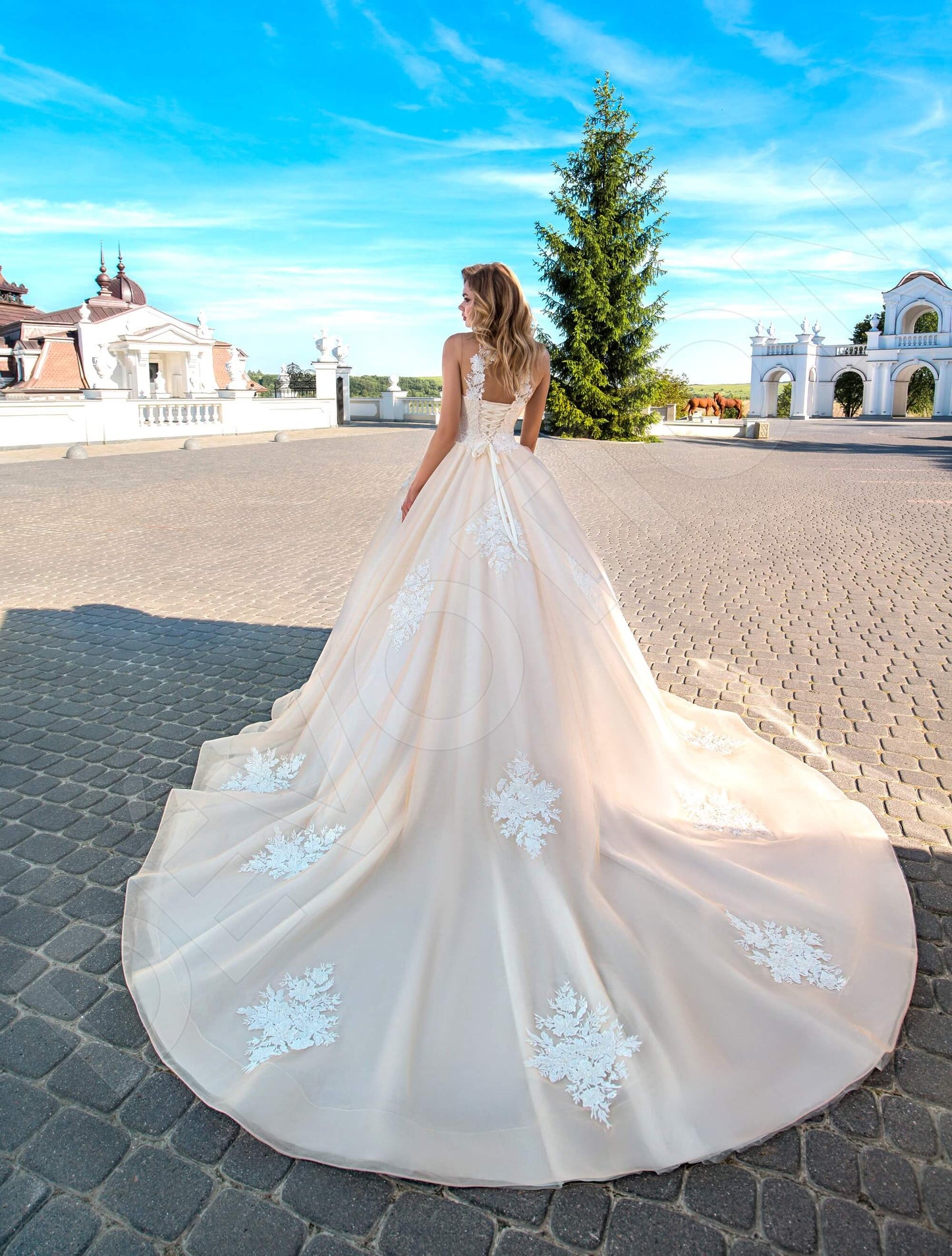 Annelisa Open back Princess/Ball Gown Sleeveless Wedding Dress Back