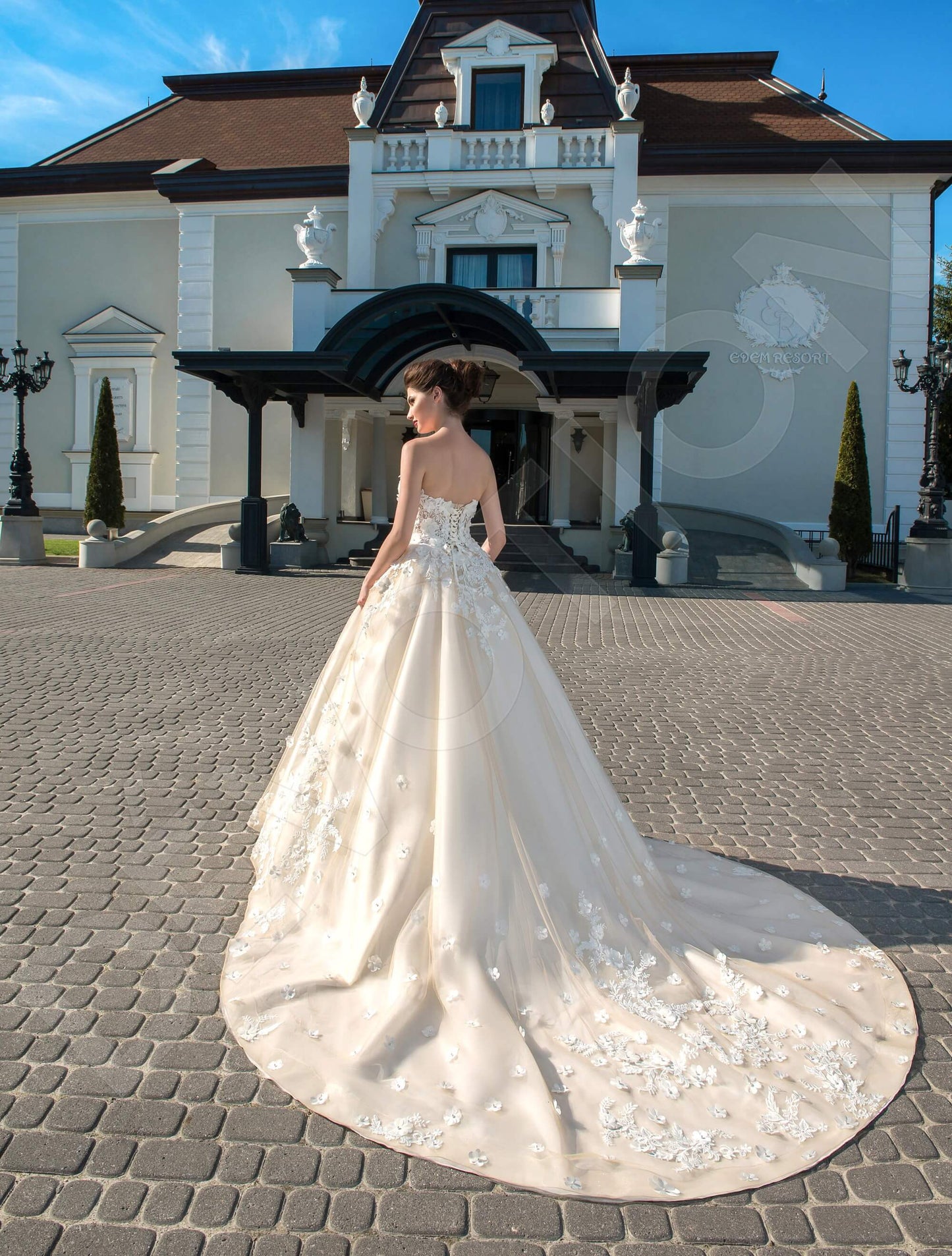 Jessamy Open back Princess/Ball Gown Strapless Wedding Dress Back
