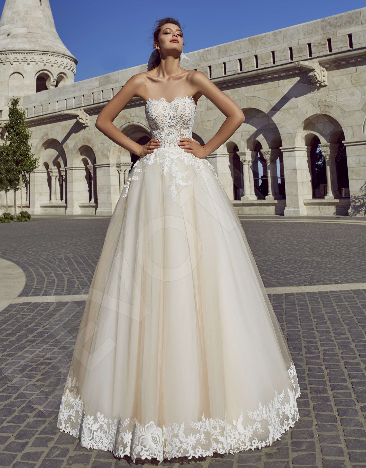 Samille Open back Princess/Ball Gown Strapless Wedding Dress Front