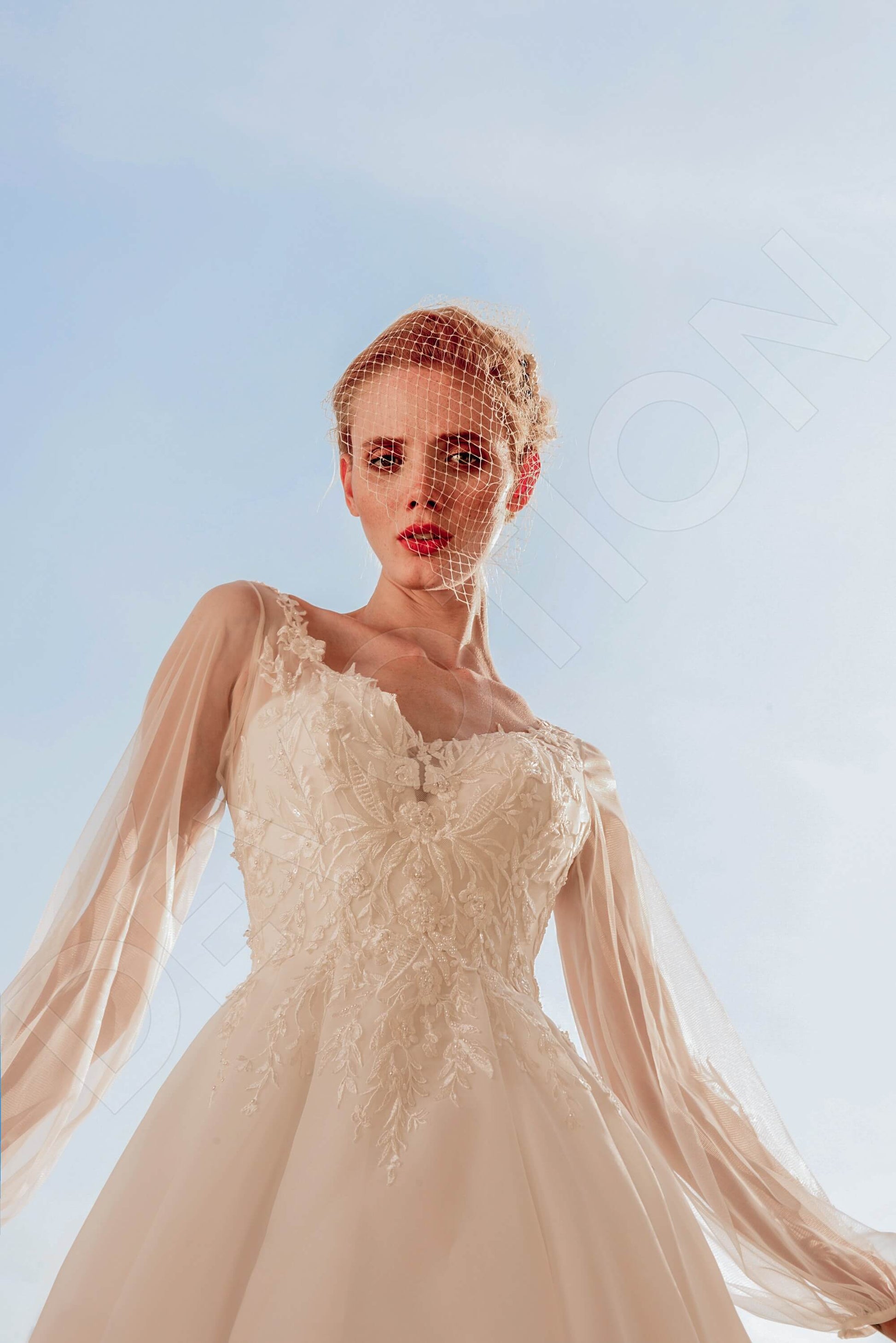 Lania Princess/Ball Gown V-neck Lightivory Wedding dress