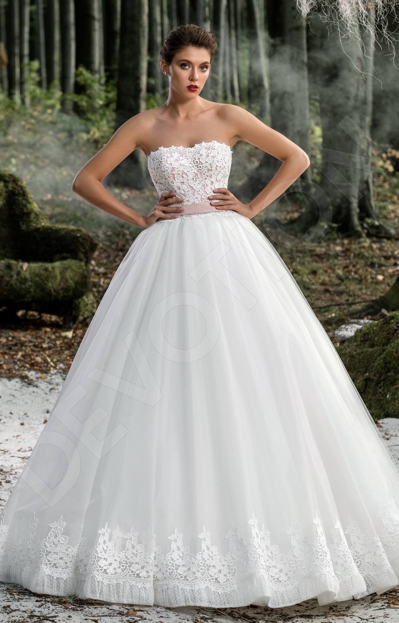 Langley Open back Princess/Ball Gown Strapless Wedding Dress Front
