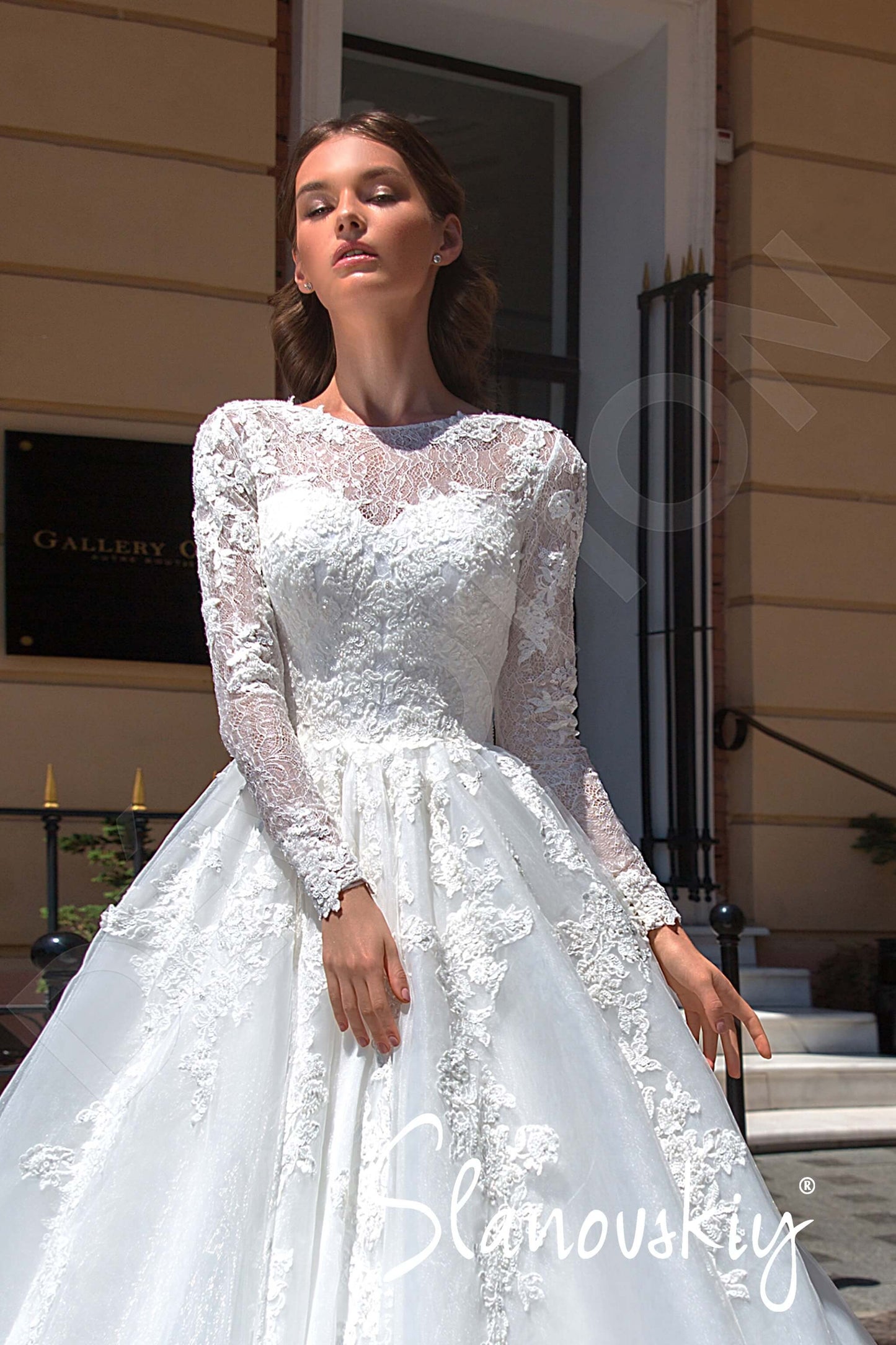 Cecilly Lace up back Princess/Ball Gown Long sleeve Wedding Dress 2
