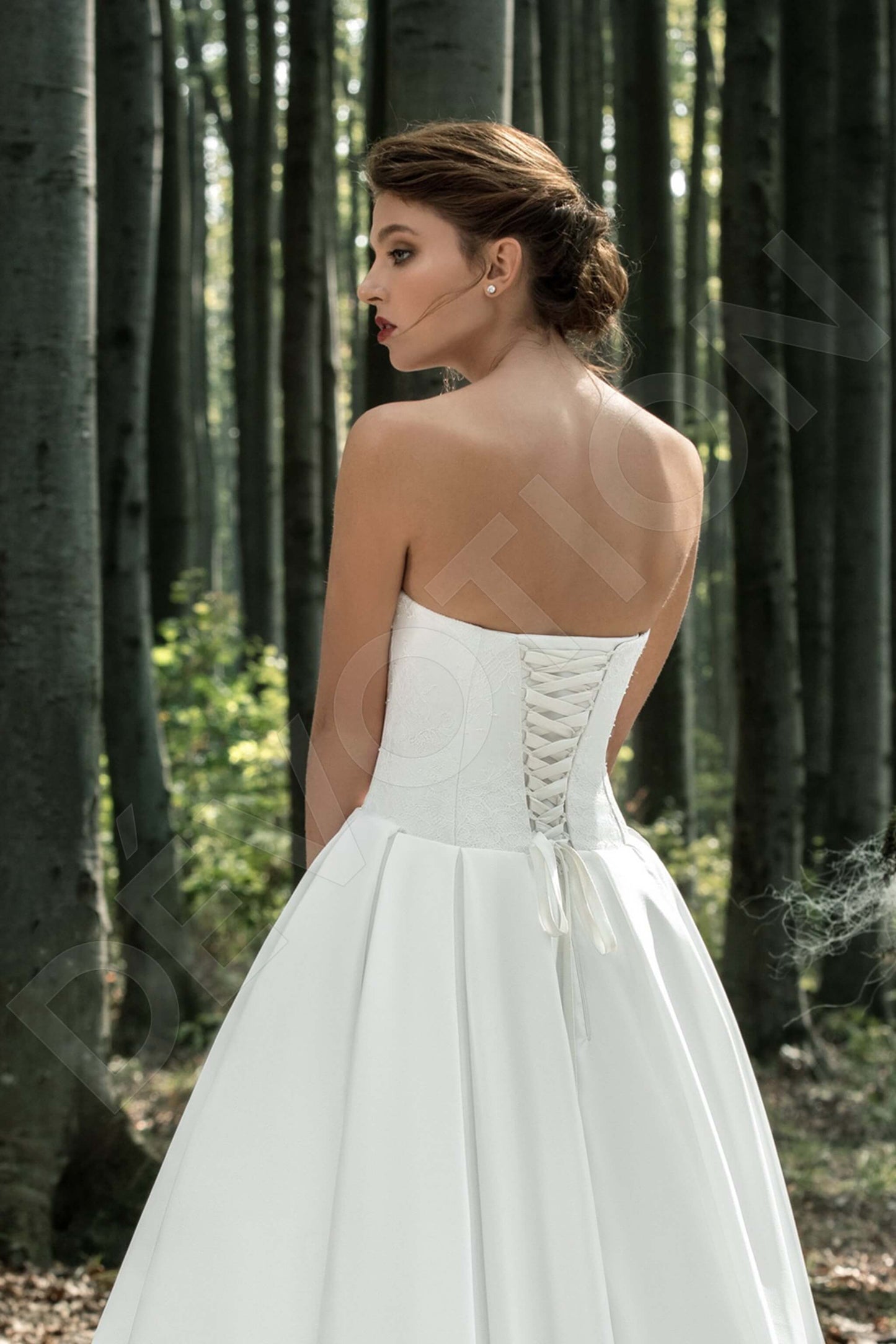 Branwen Open back A-line Strapless Wedding Dress Back