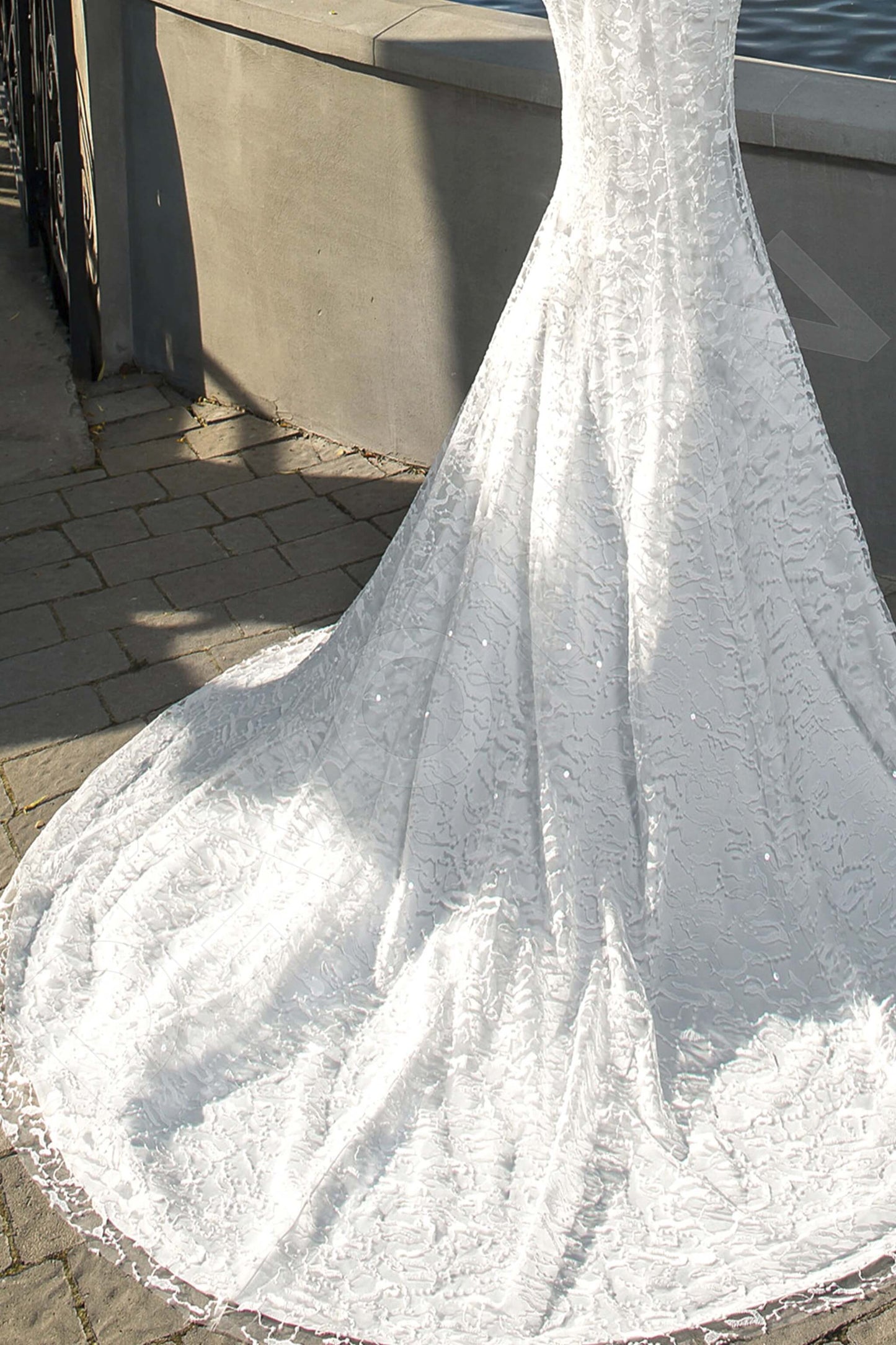 Luigina Open back Trumpet/Mermaid Sleeveless Wedding Dress 8