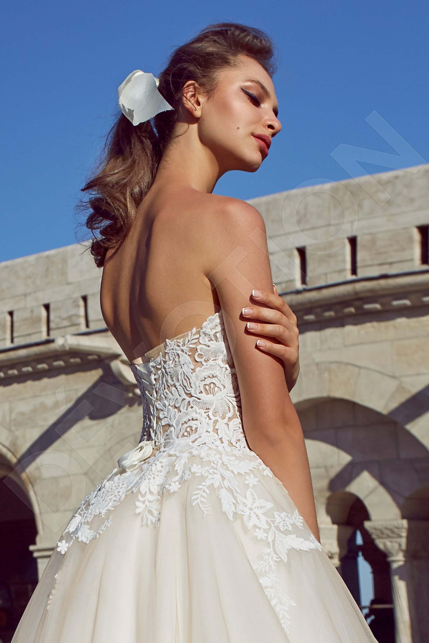 Samille Open back Princess/Ball Gown Strapless Wedding Dress 4