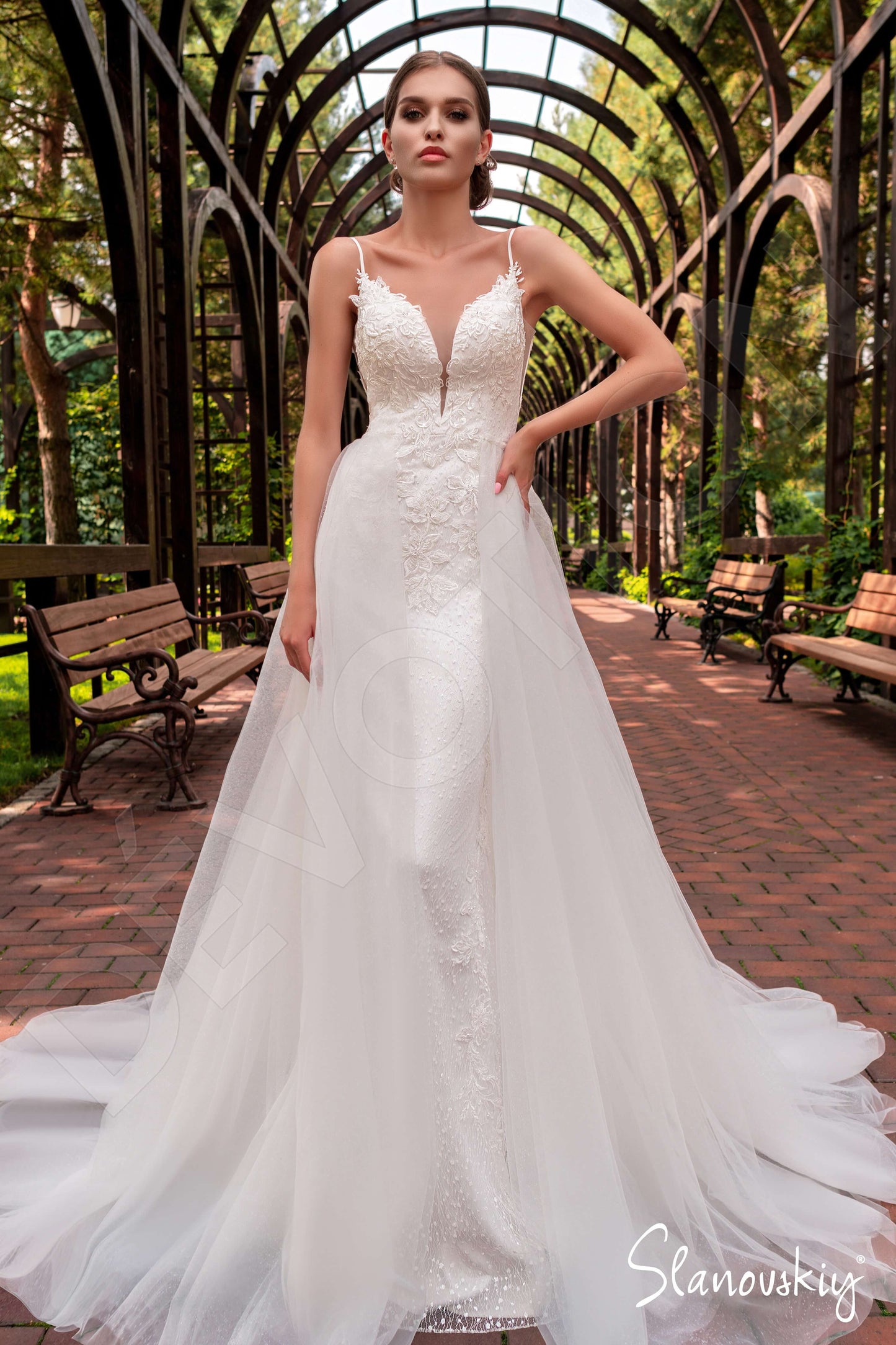 Aerolyn Open back A-line Sleeveless Wedding Dress Front