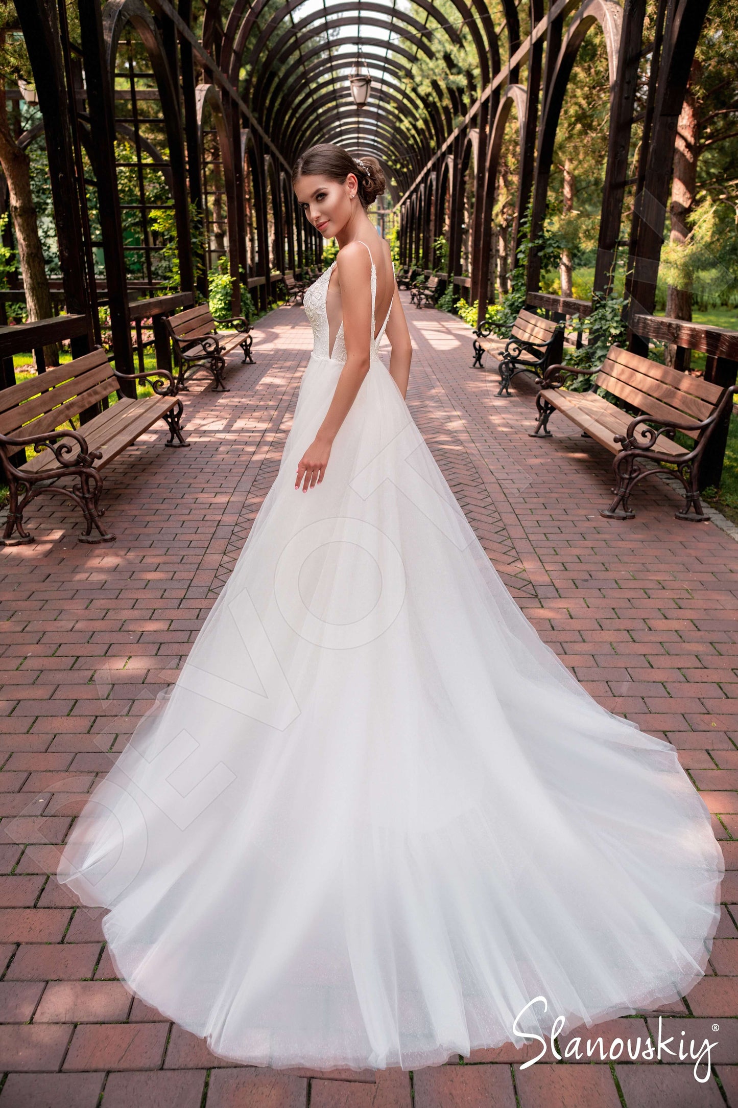 Aerolyn Open back A-line Sleeveless Wedding Dress 3