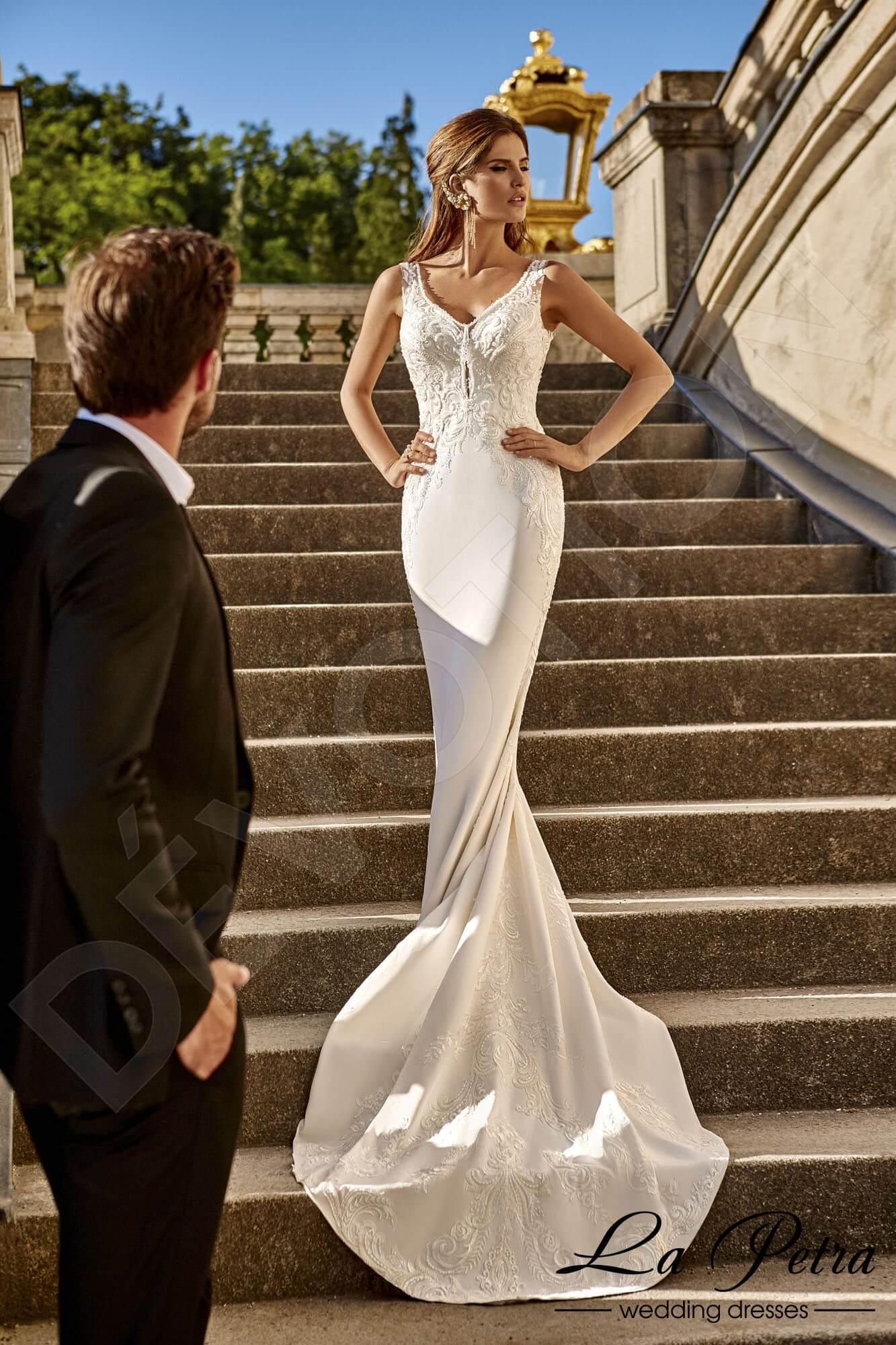 Vinettia Open back Trumpet/Mermaid Sleeveless Wedding Dress 5