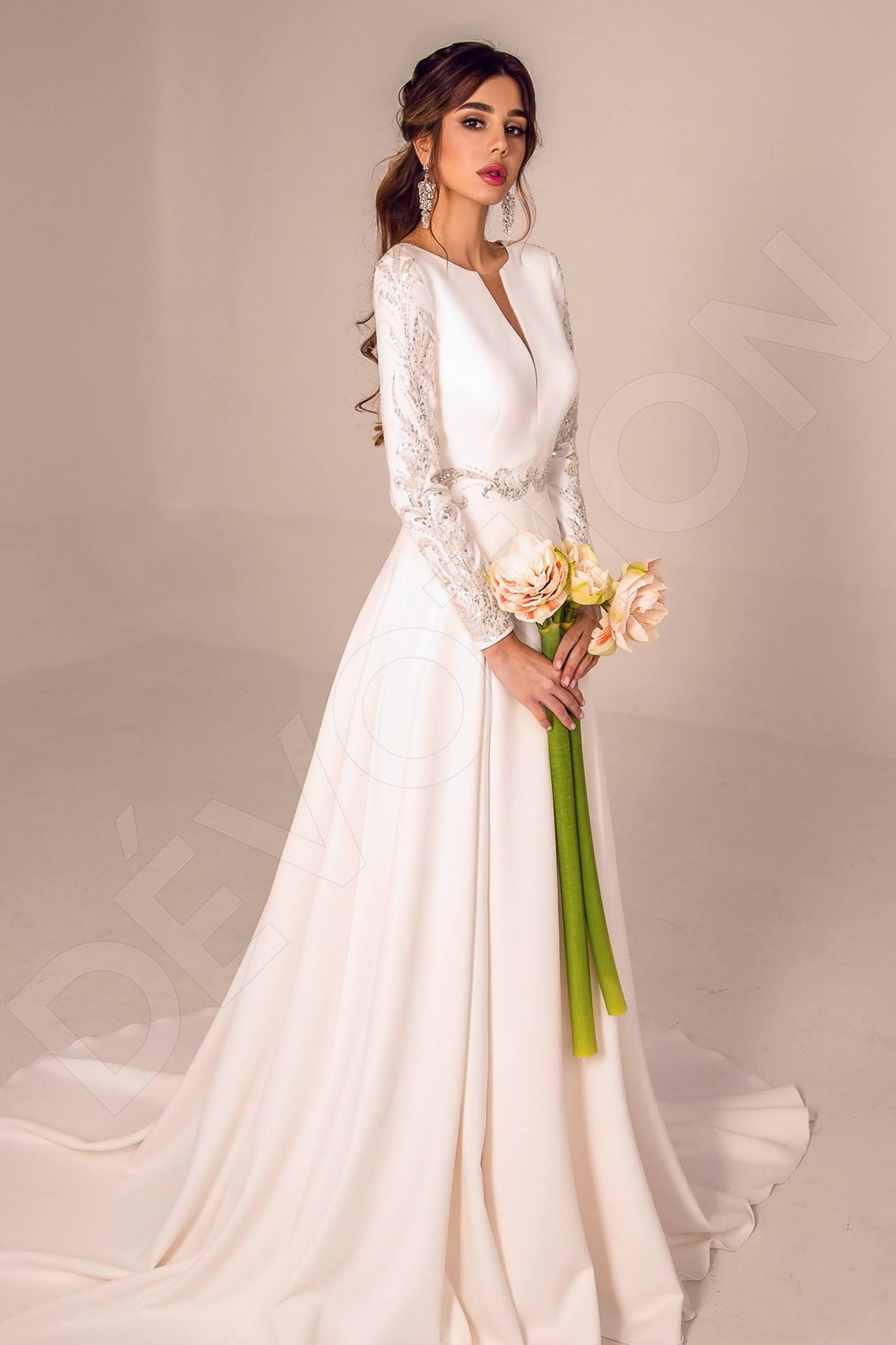 Danicia Open back A-line Long sleeve Wedding Dress Front