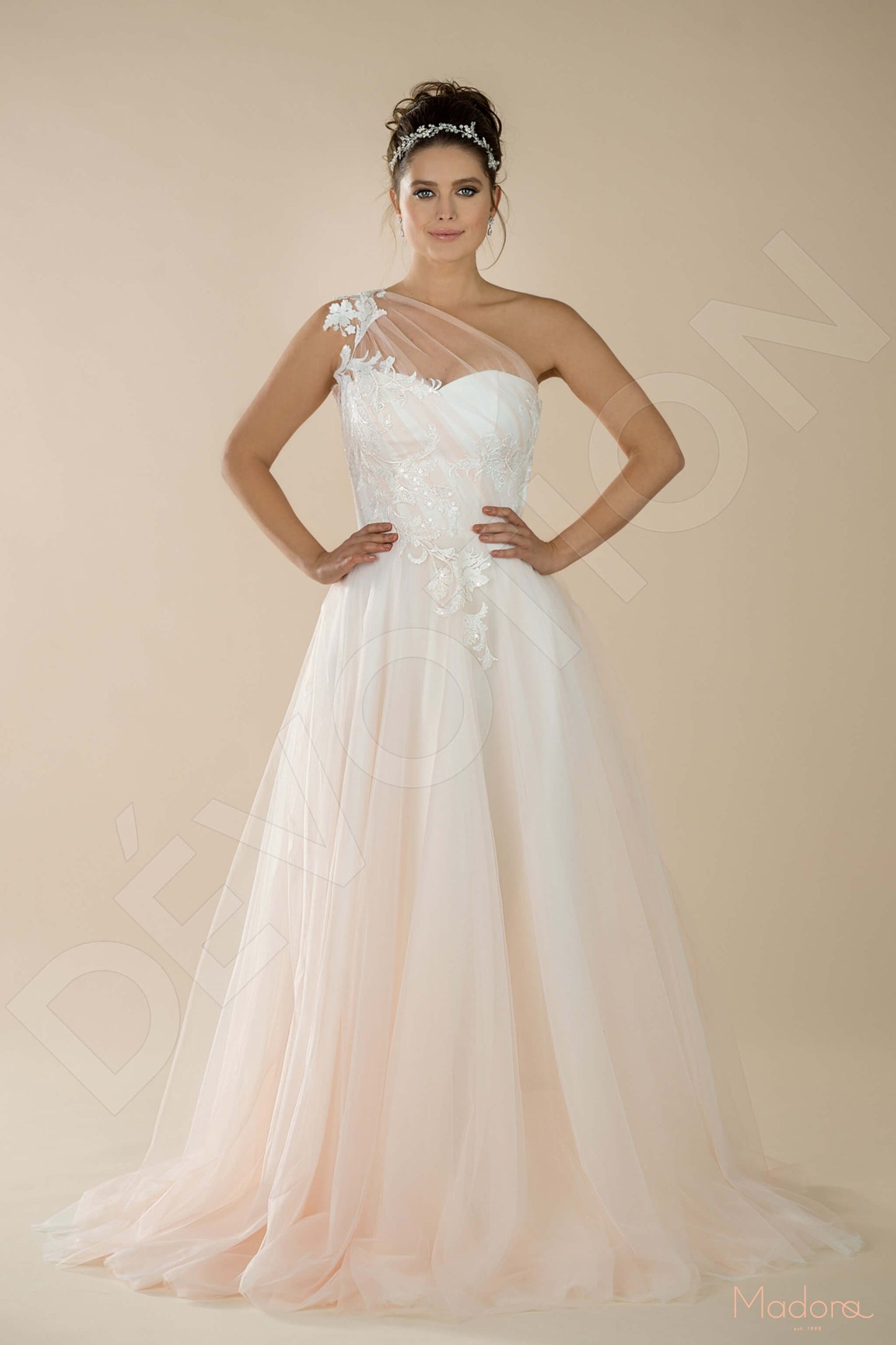 Alstronia Full back A-line One sleeve Wedding Dress 3