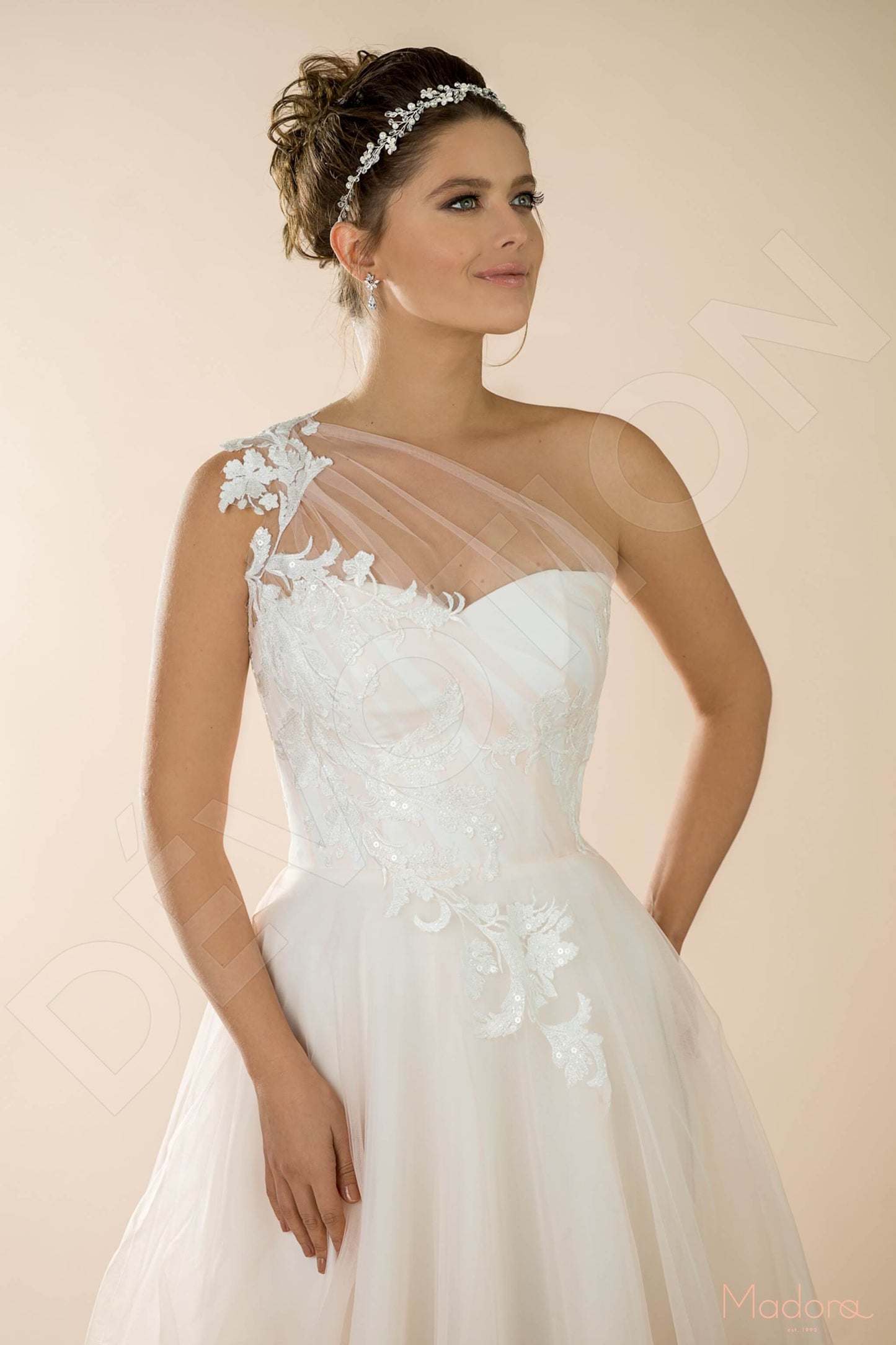 Alstronia Full back A-line One sleeve Wedding Dress 4