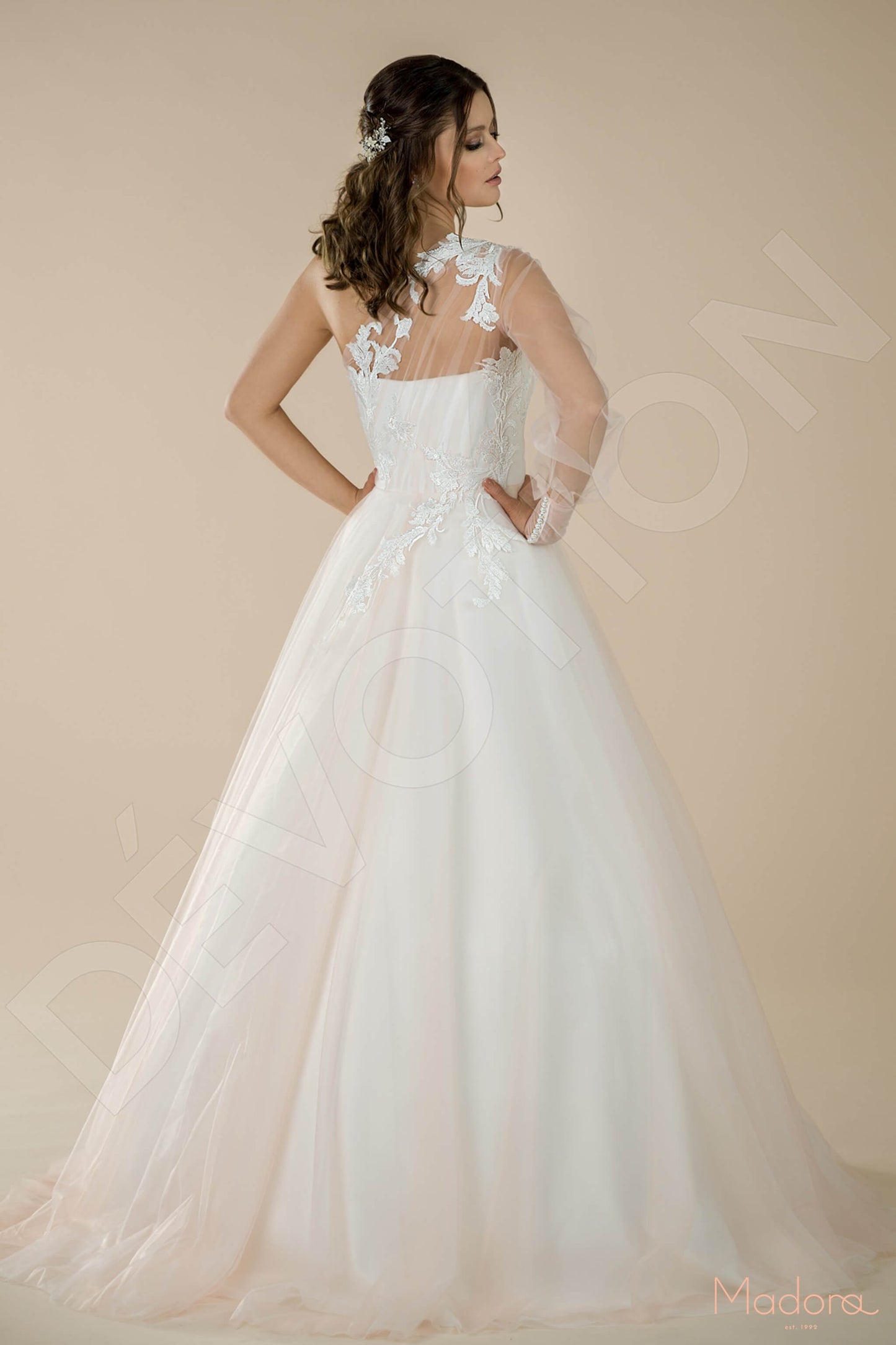 Alstronia Full back A-line One sleeve Wedding Dress Back