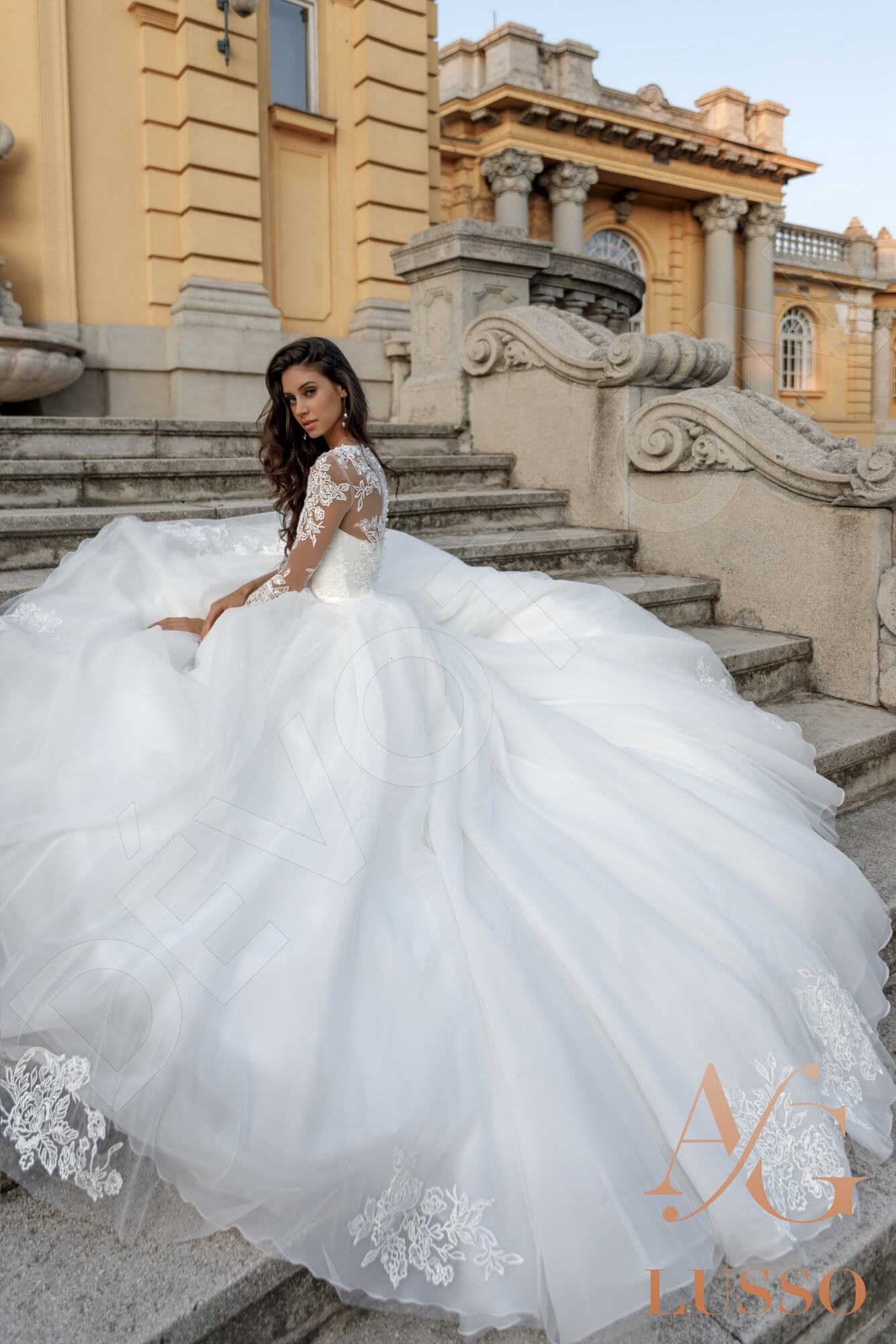 Anyka Full back Princess/Ball Gown Long sleeve Wedding Dress 2