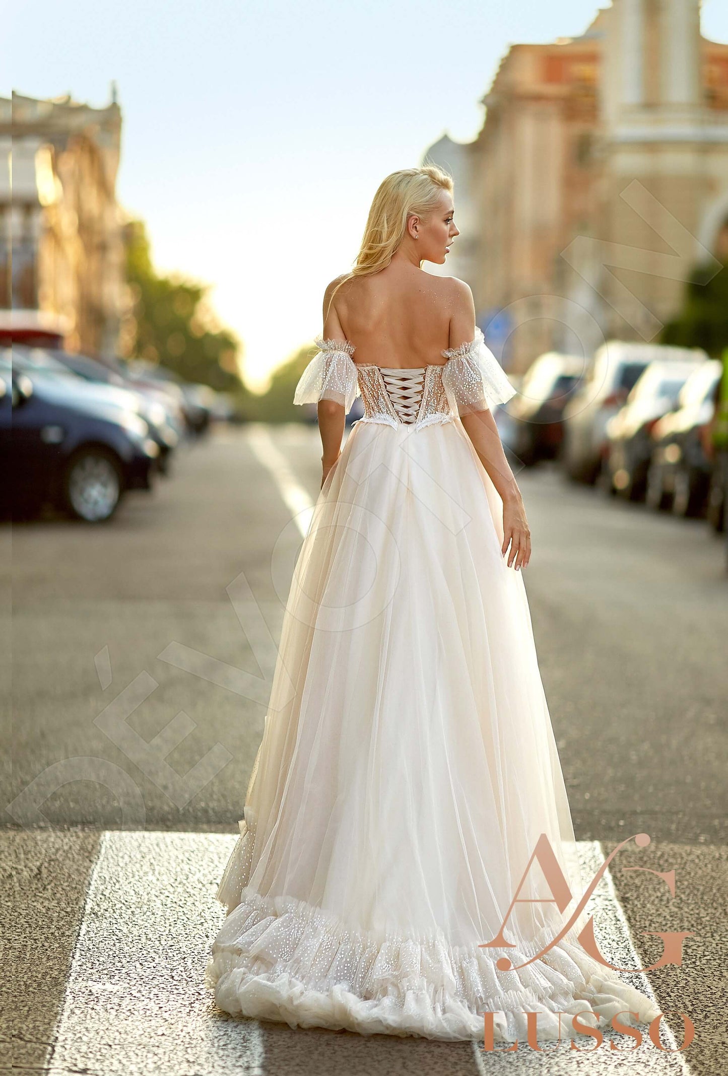 Dariana Open back A-line Short/ Cap sleeve Wedding Dress Back