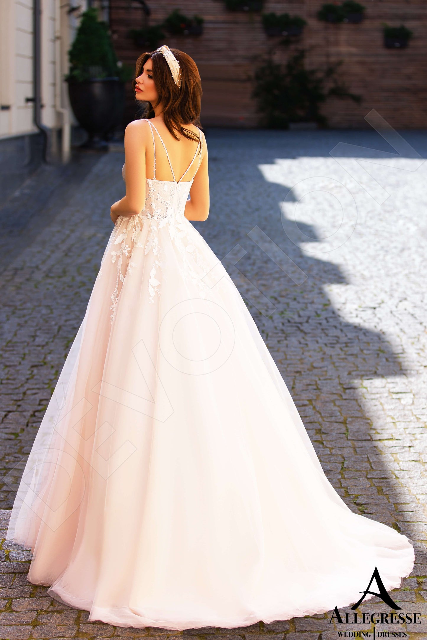 Mican Open back A-line Straps Wedding Dress Back