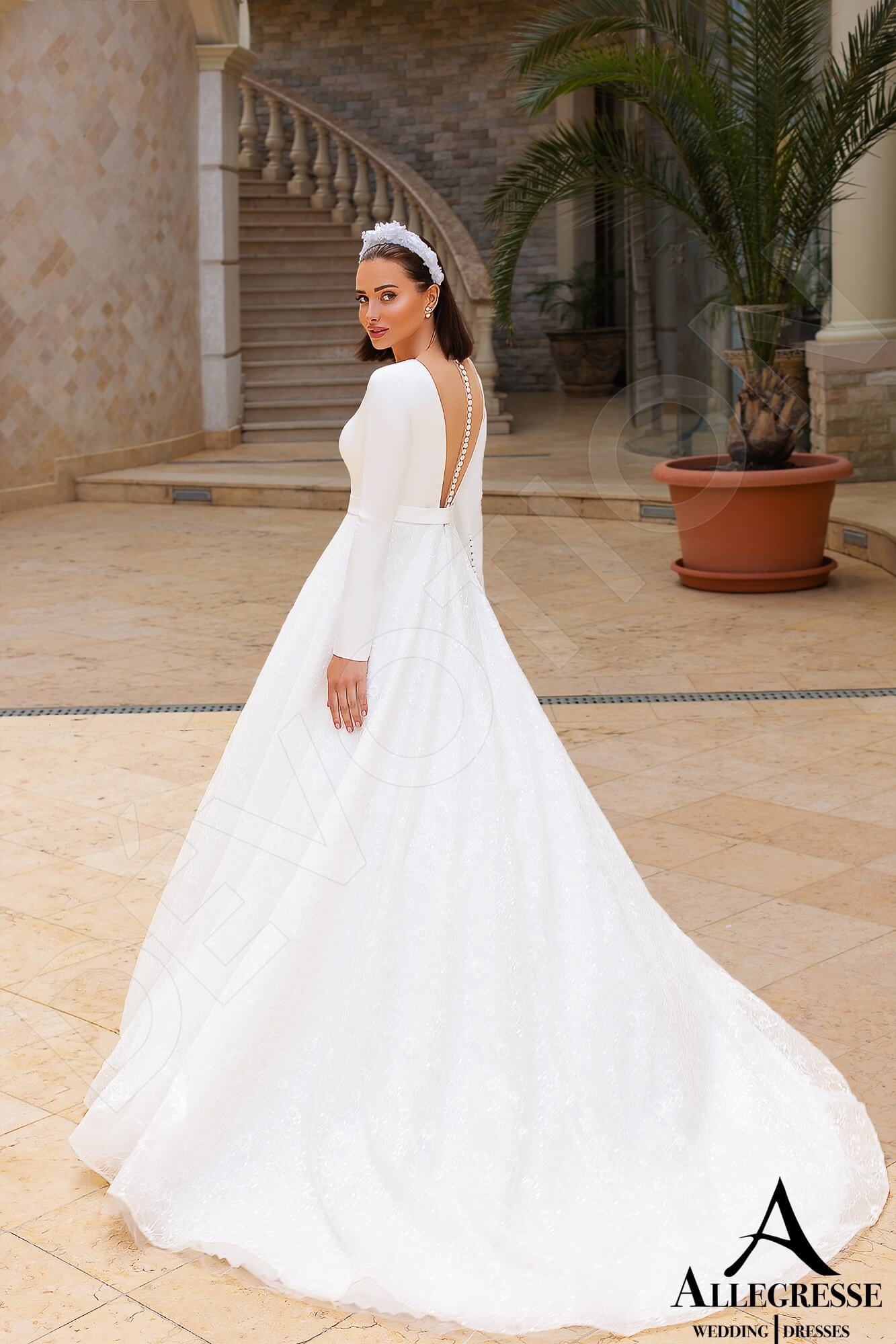 Osina Illusion back Princess/Ball Gown Long sleeve Wedding Dress Back