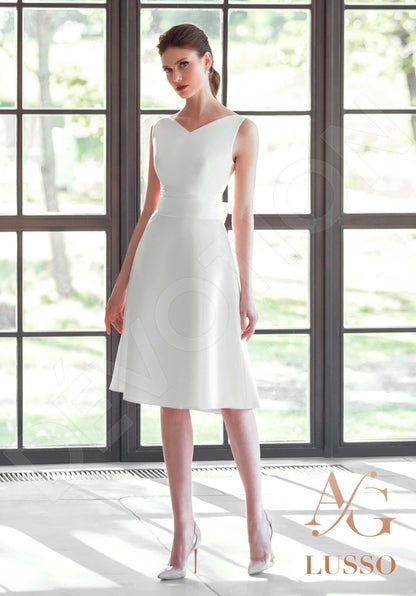 Dinisia mini Open back A-line Sleeveless Wedding Dress Front