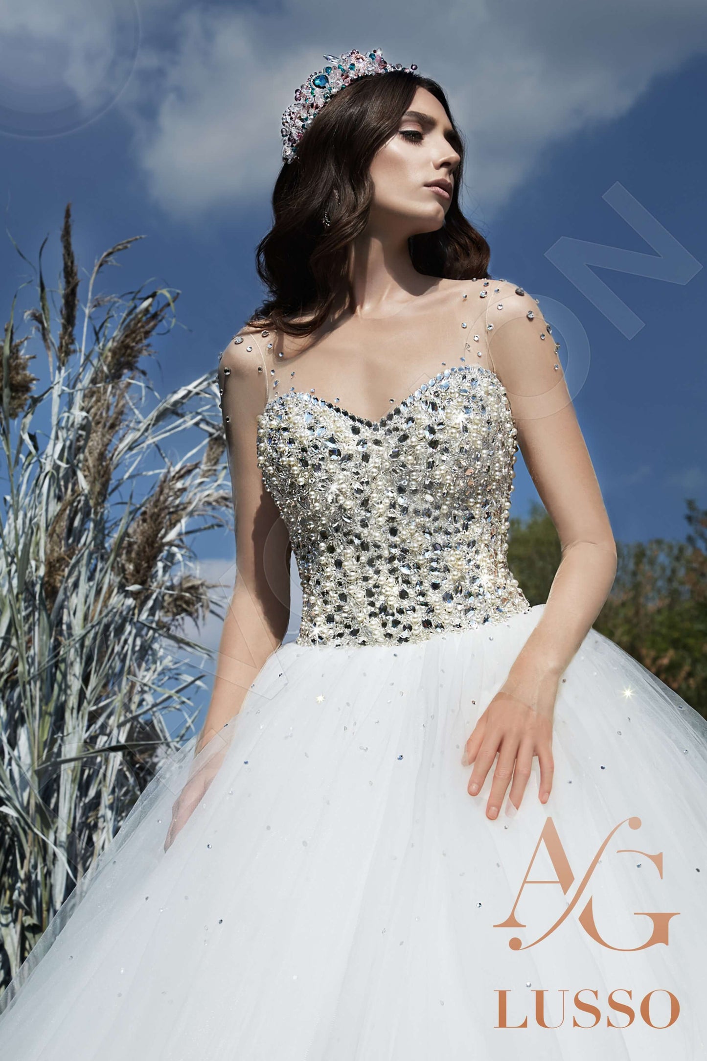 Daisee Long sleeve Princess/Ball Gown Open back Wedding Dress 2