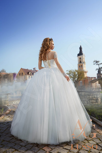 Cassandra Illusion back Princess/Ball Gown Long sleeve Wedding Dress Back