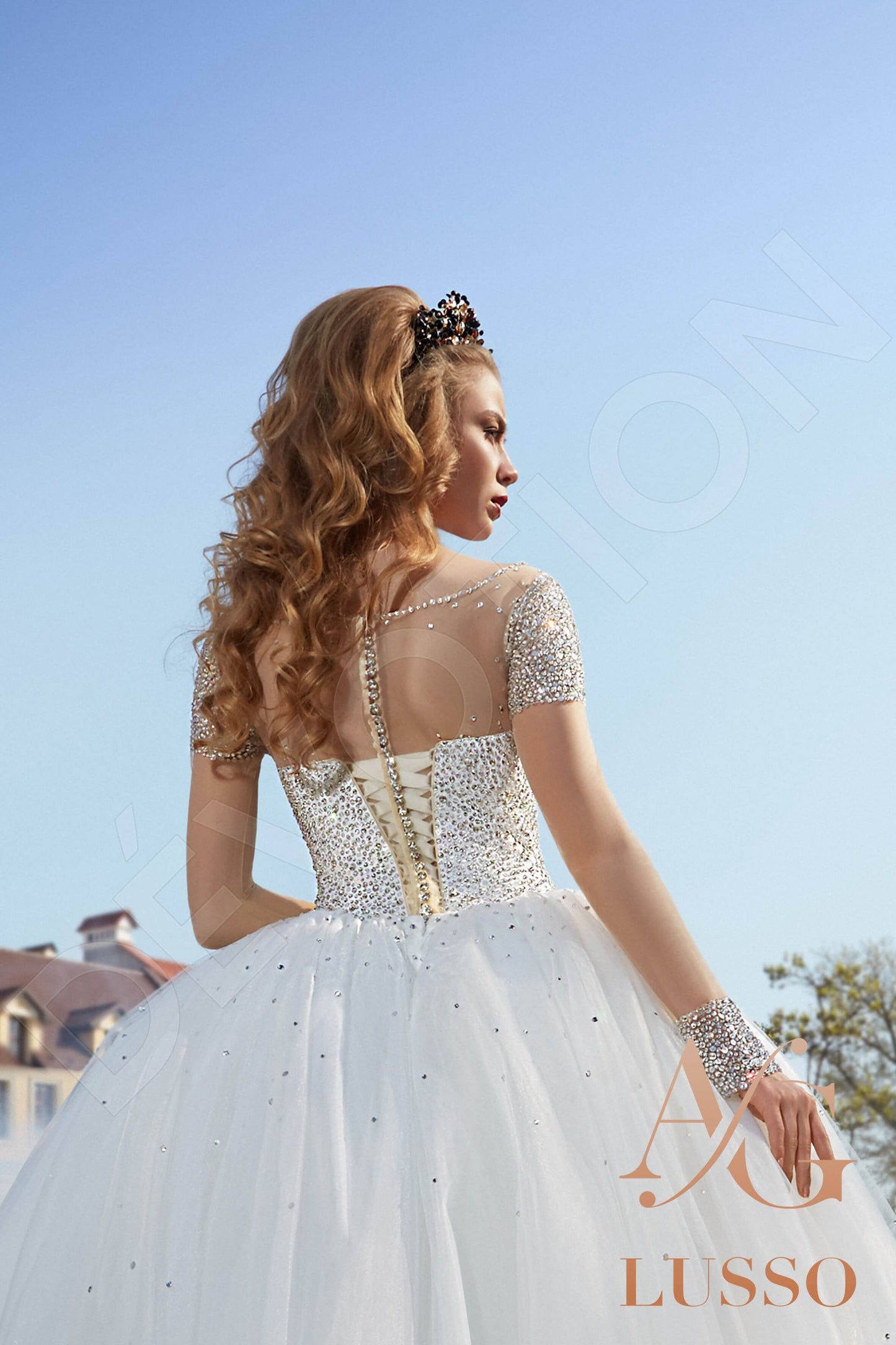 Cassandra Illusion back Princess/Ball Gown Long sleeve Wedding Dress 4