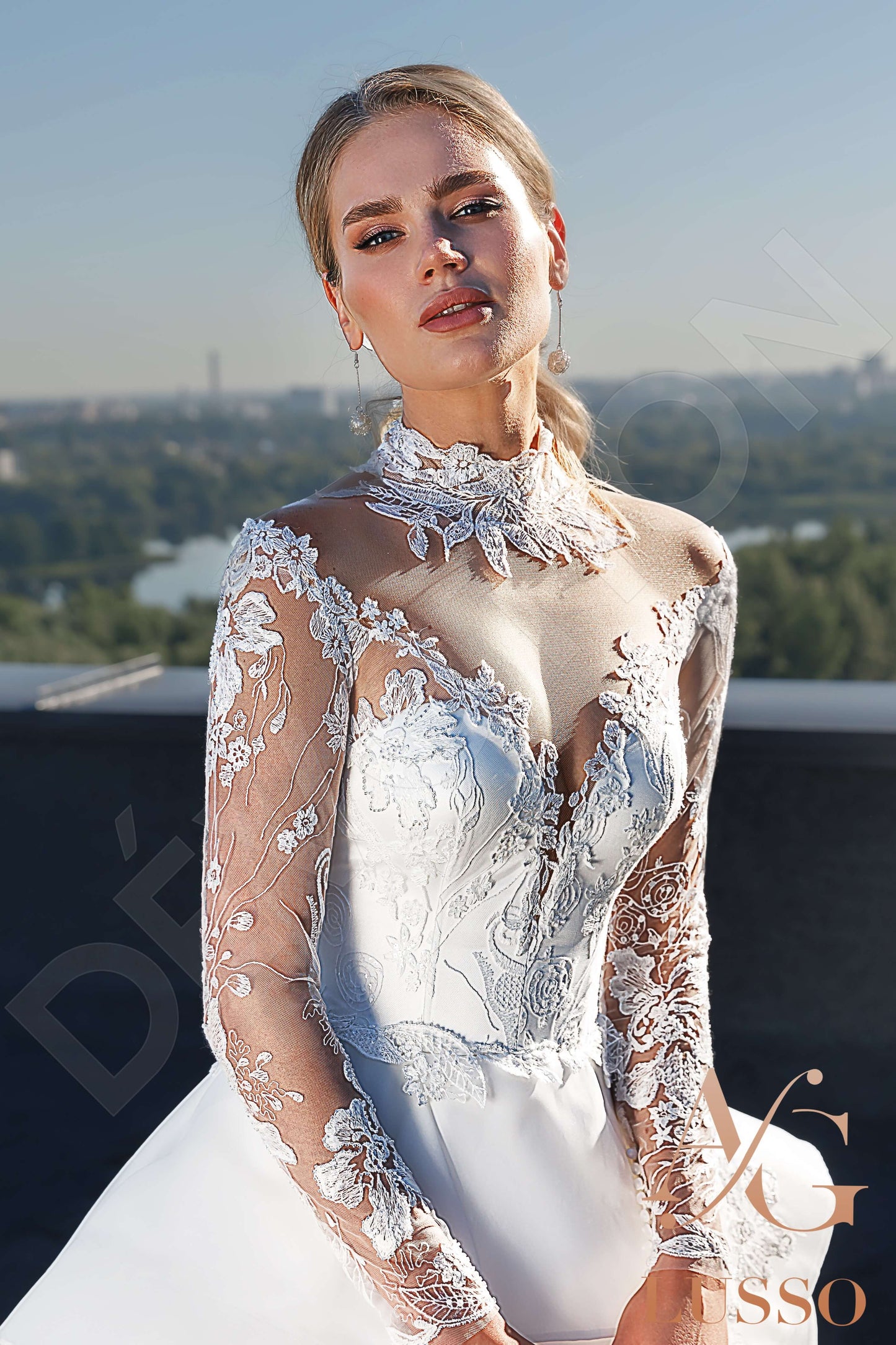 Luziana Full back Princess/Ball Gown Long sleeve Wedding Dress 5