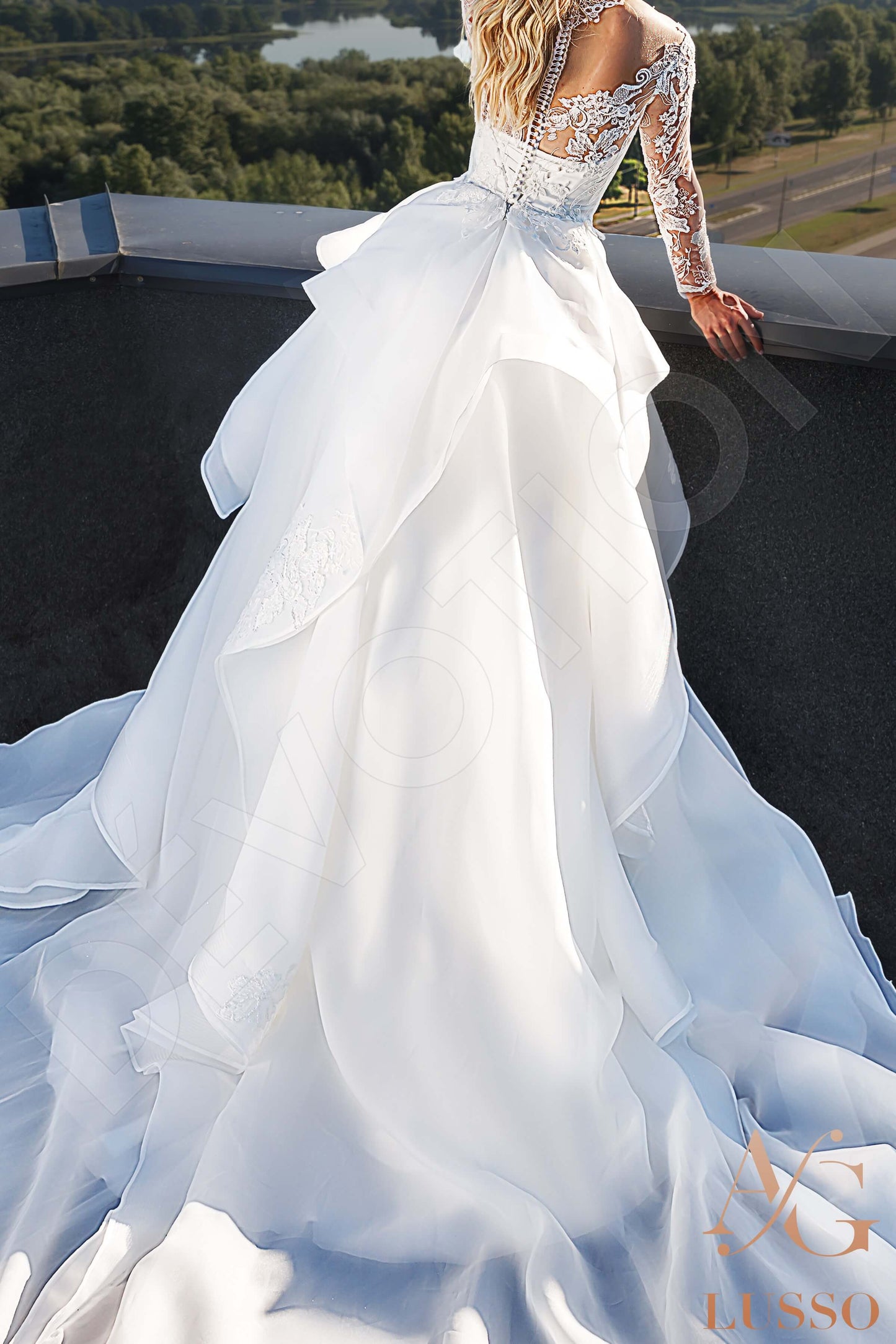 Luziana Full back Princess/Ball Gown Long sleeve Wedding Dress 9