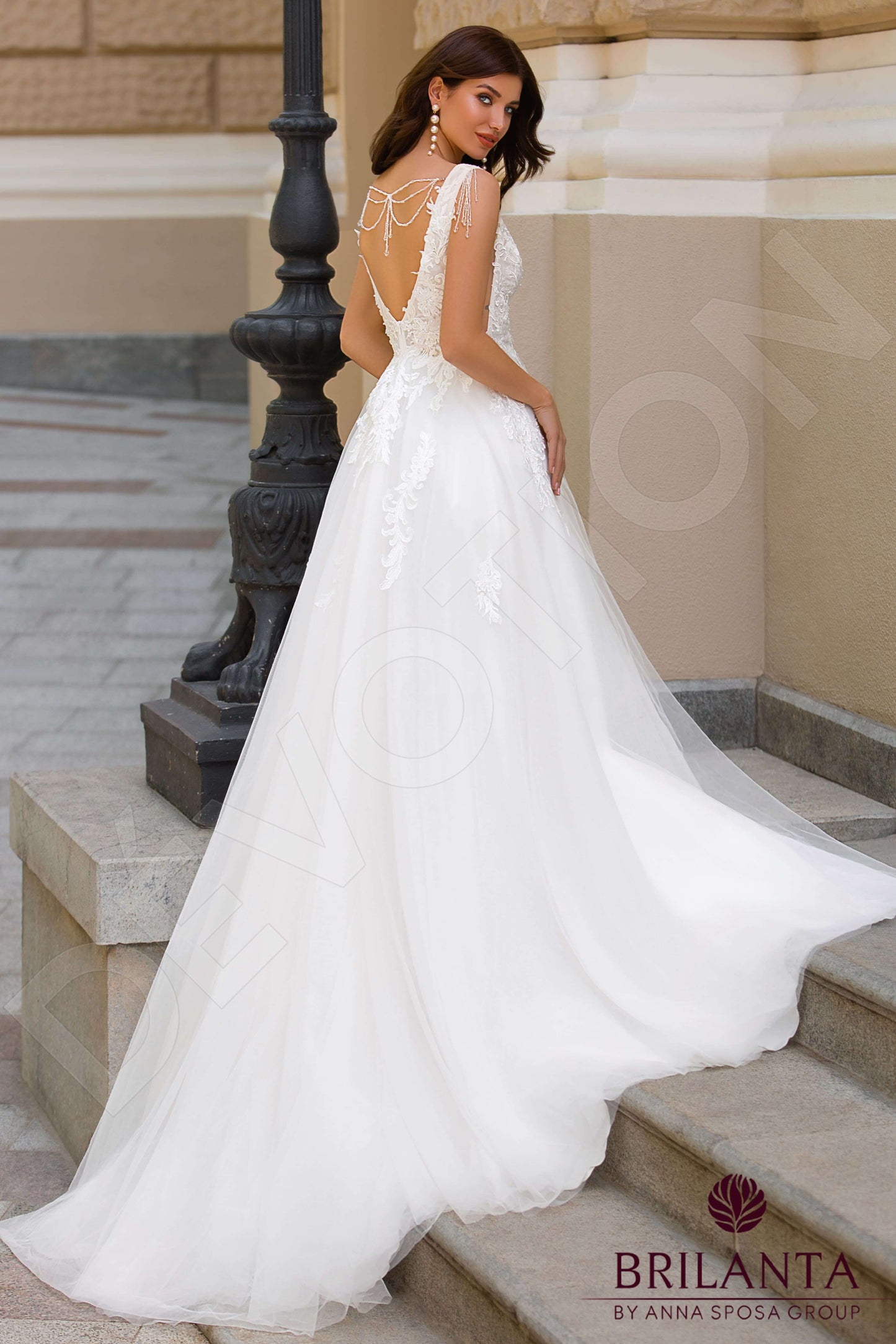 Ibris Open back A-line Sleeveless Wedding Dress Back