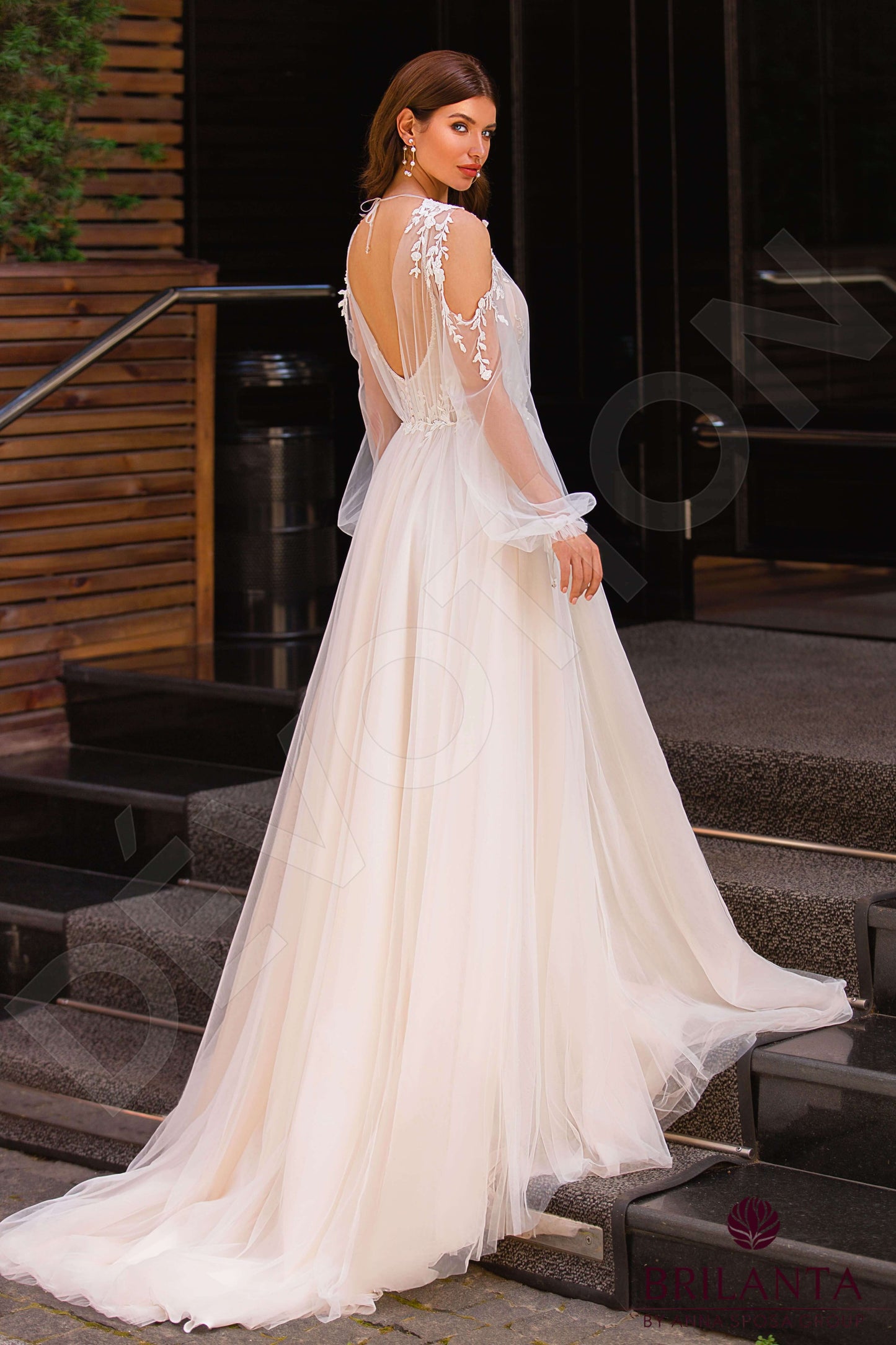 Meldi Open back A-line Long sleeve Wedding Dress Back