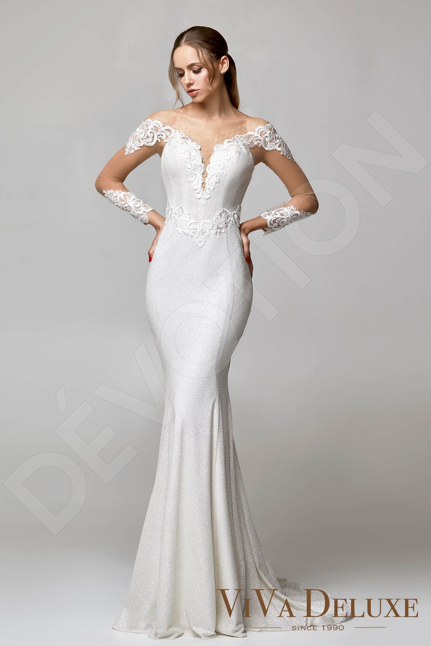 Violis Illusion back Trumpet/Mermaid Long sleeve Wedding Dress Front