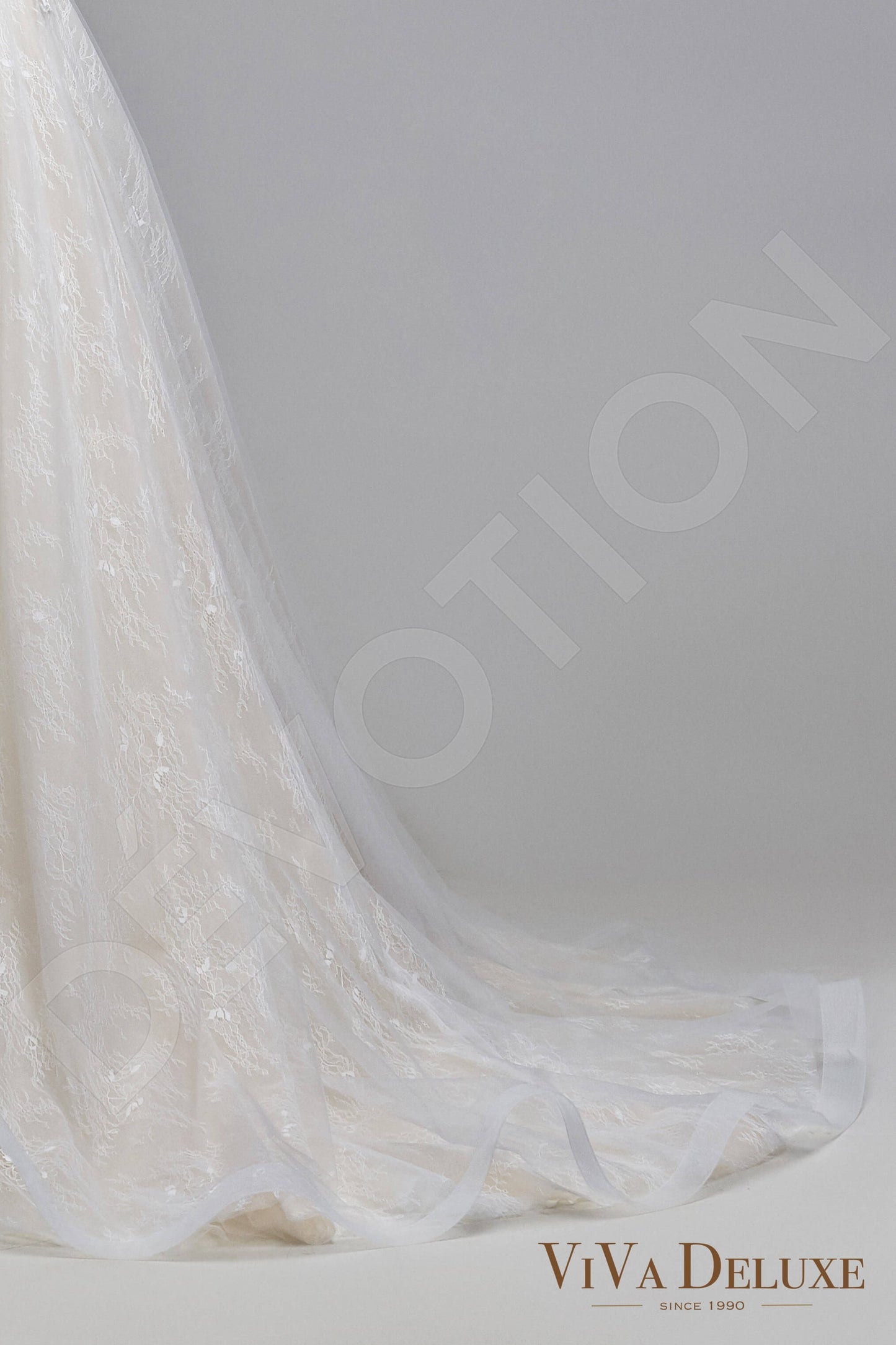 Dotty Illusion back A-line Sleeveless Wedding Dress 7