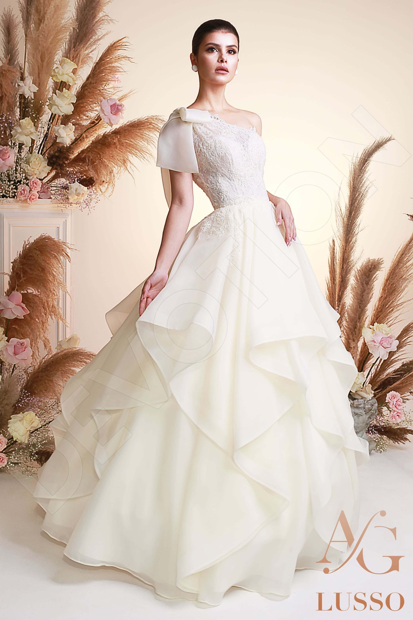 Safia Open back Princess/Ball Gown Sleeveless Wedding Dress Front